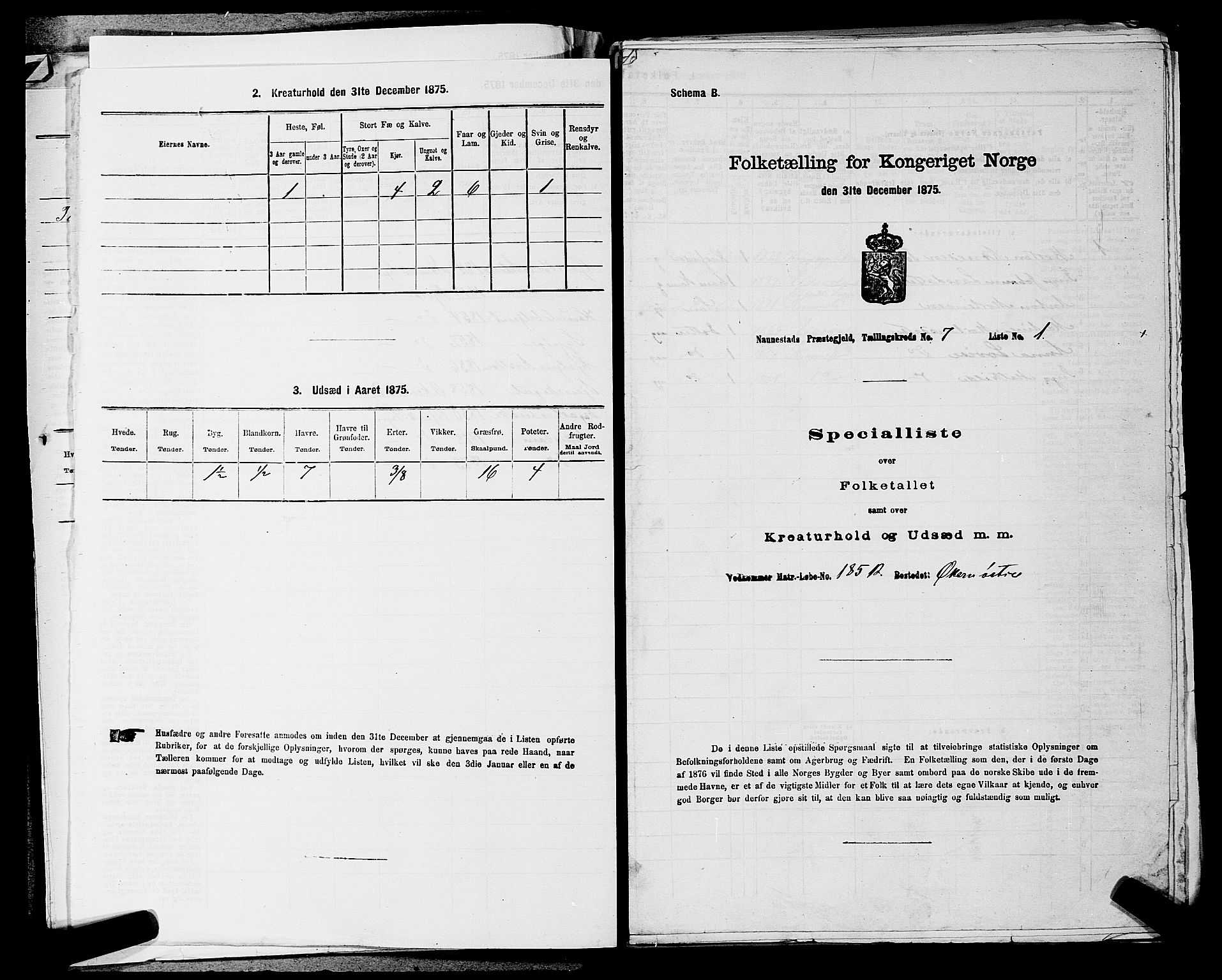 RA, 1875 census for 0238P Nannestad, 1875, p. 1001