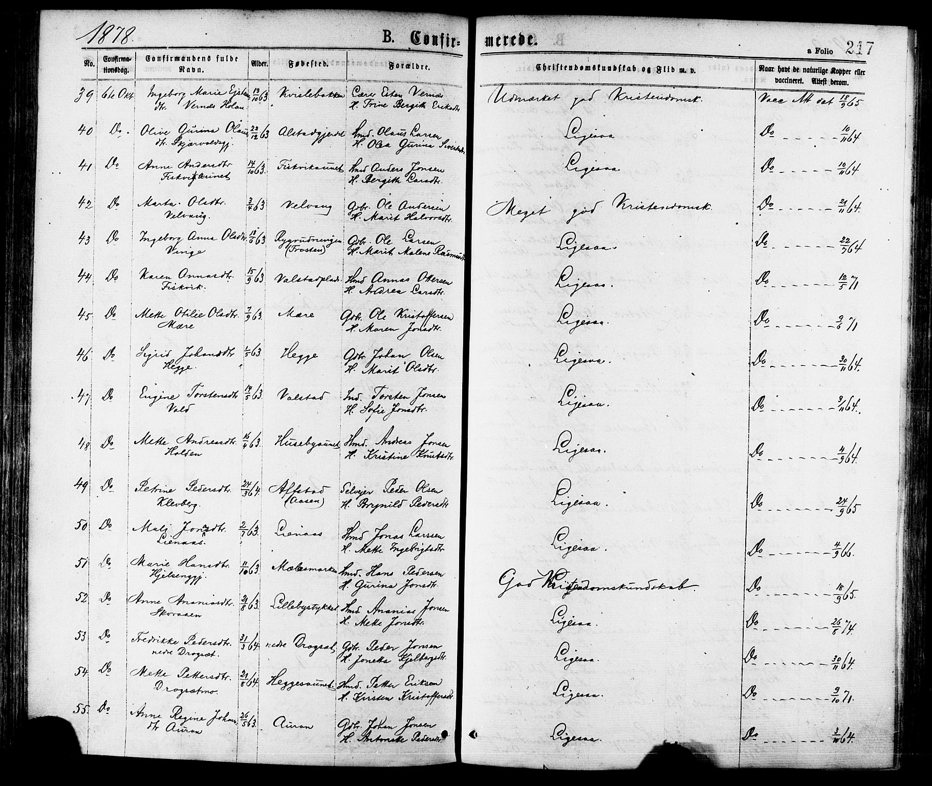 Ministerialprotokoller, klokkerbøker og fødselsregistre - Nord-Trøndelag, AV/SAT-A-1458/709/L0076: Parish register (official) no. 709A16, 1871-1879, p. 217