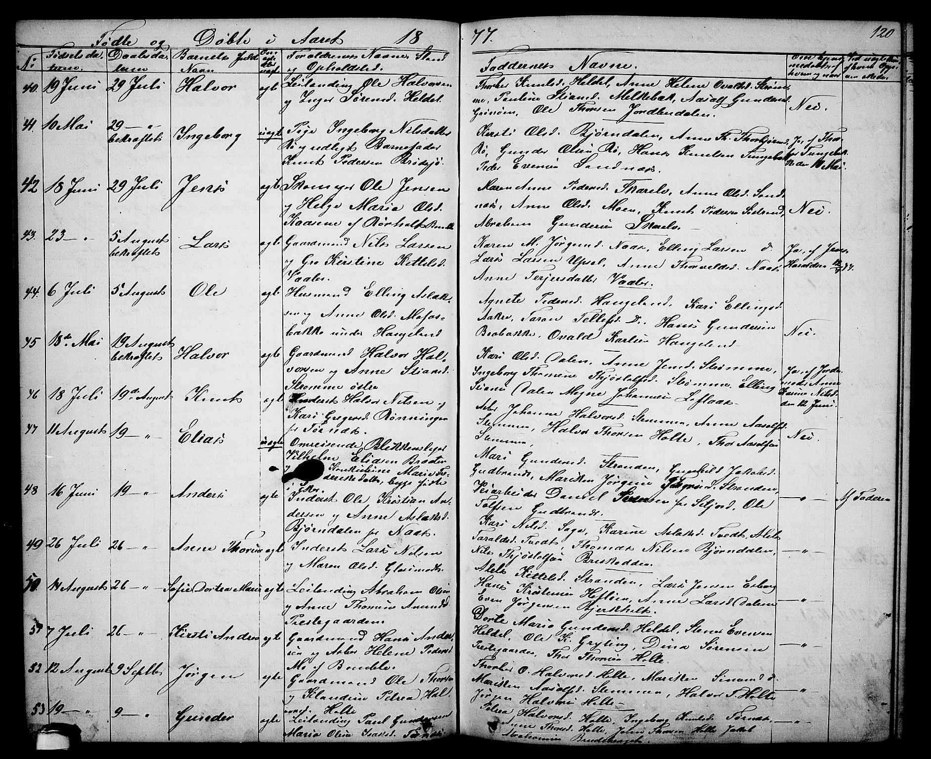 Drangedal kirkebøker, AV/SAKO-A-258/G/Ga/L0002: Parish register (copy) no. I 2, 1856-1887, p. 120