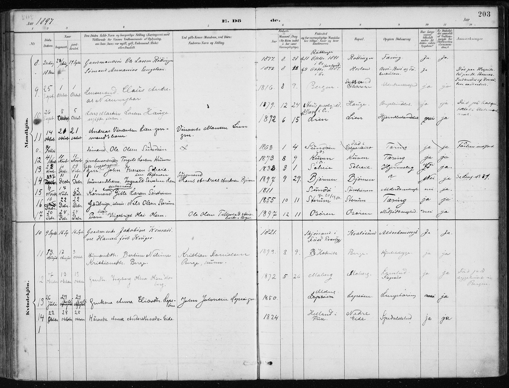 Os sokneprestembete, SAB/A-99929: Parish register (official) no. B 1, 1885-1902, p. 203