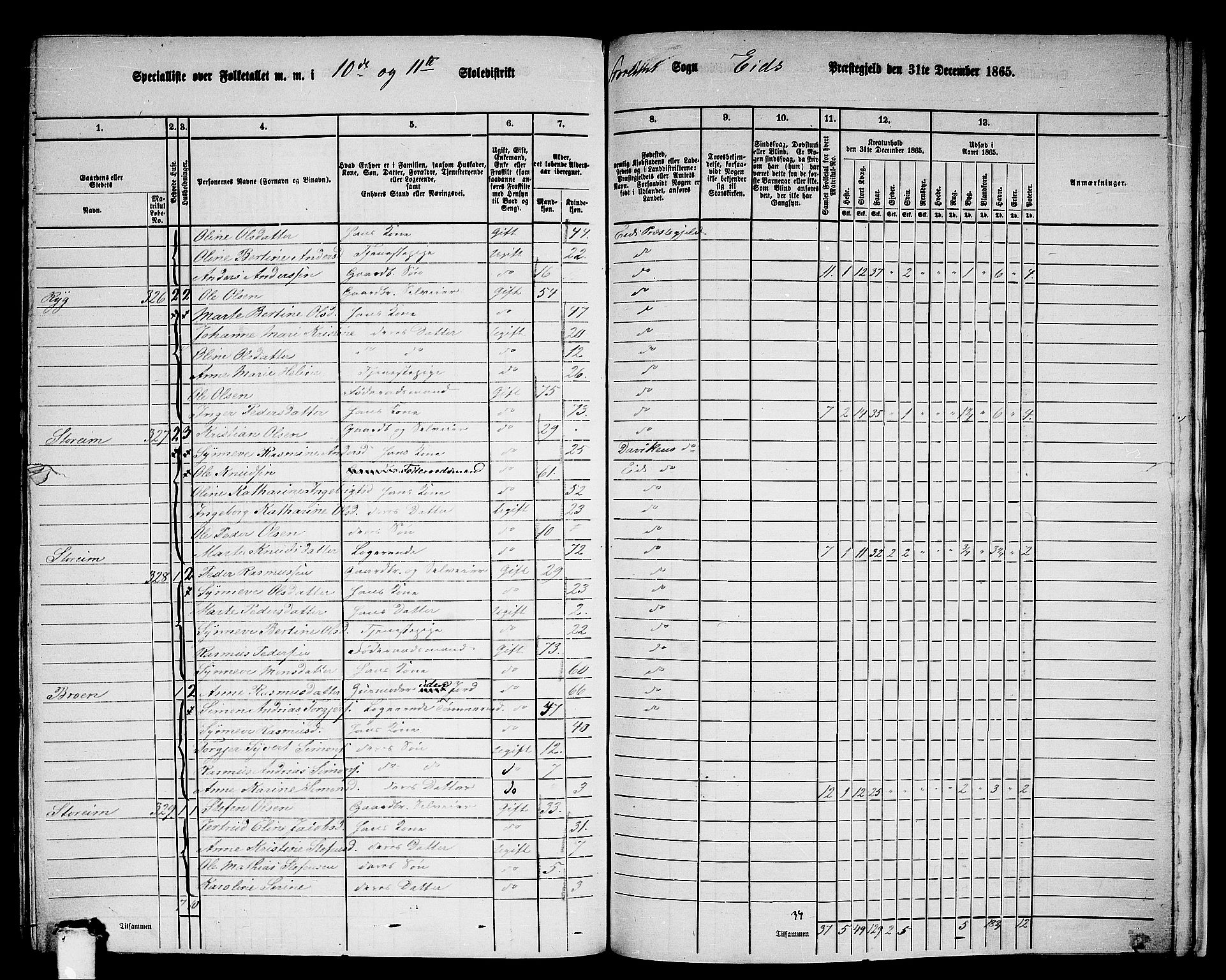 RA, 1865 census for Eid, 1865, p. 203