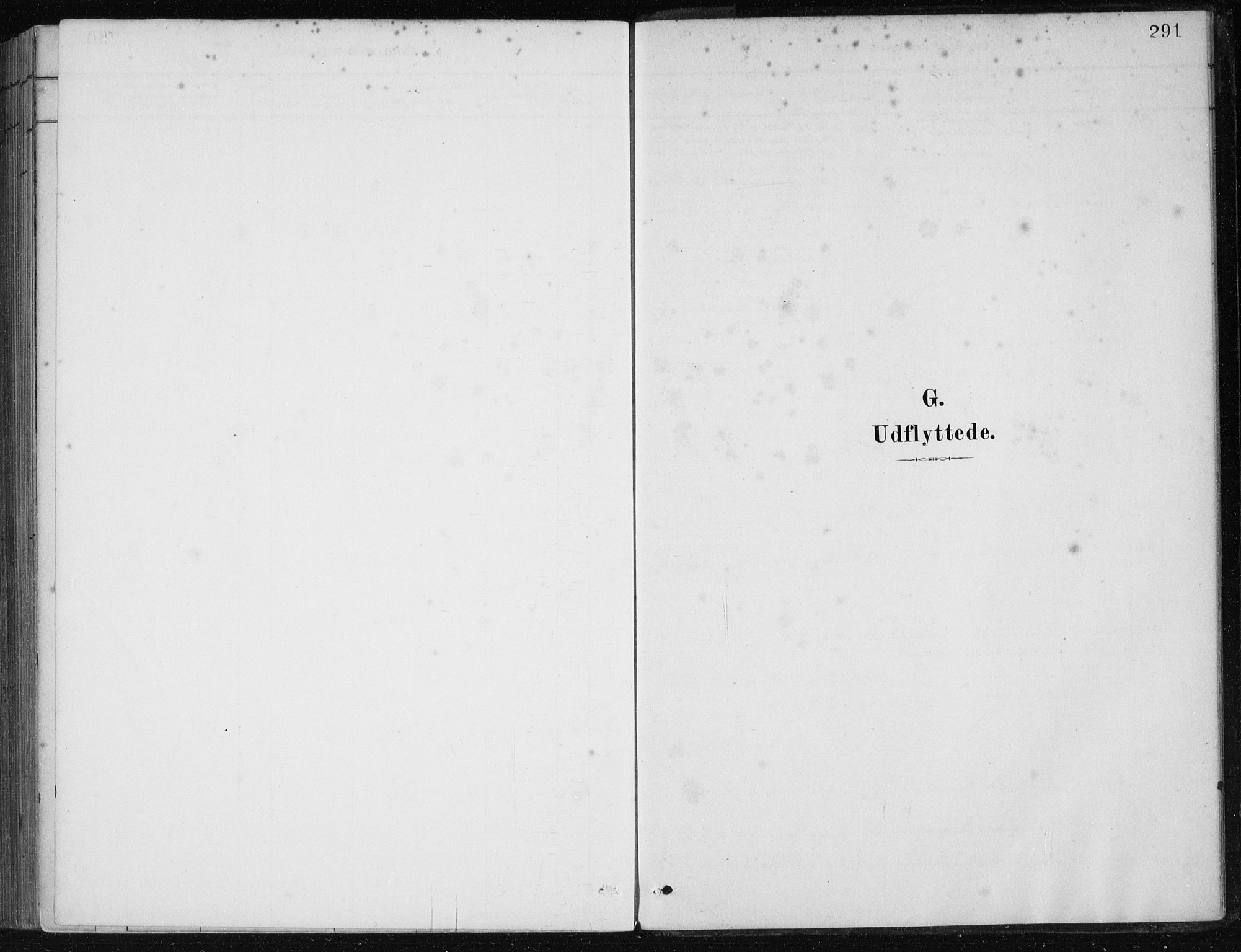 Etne sokneprestembete, SAB/A-75001/H/Haa: Parish register (official) no. C  1, 1879-1919, p. 291
