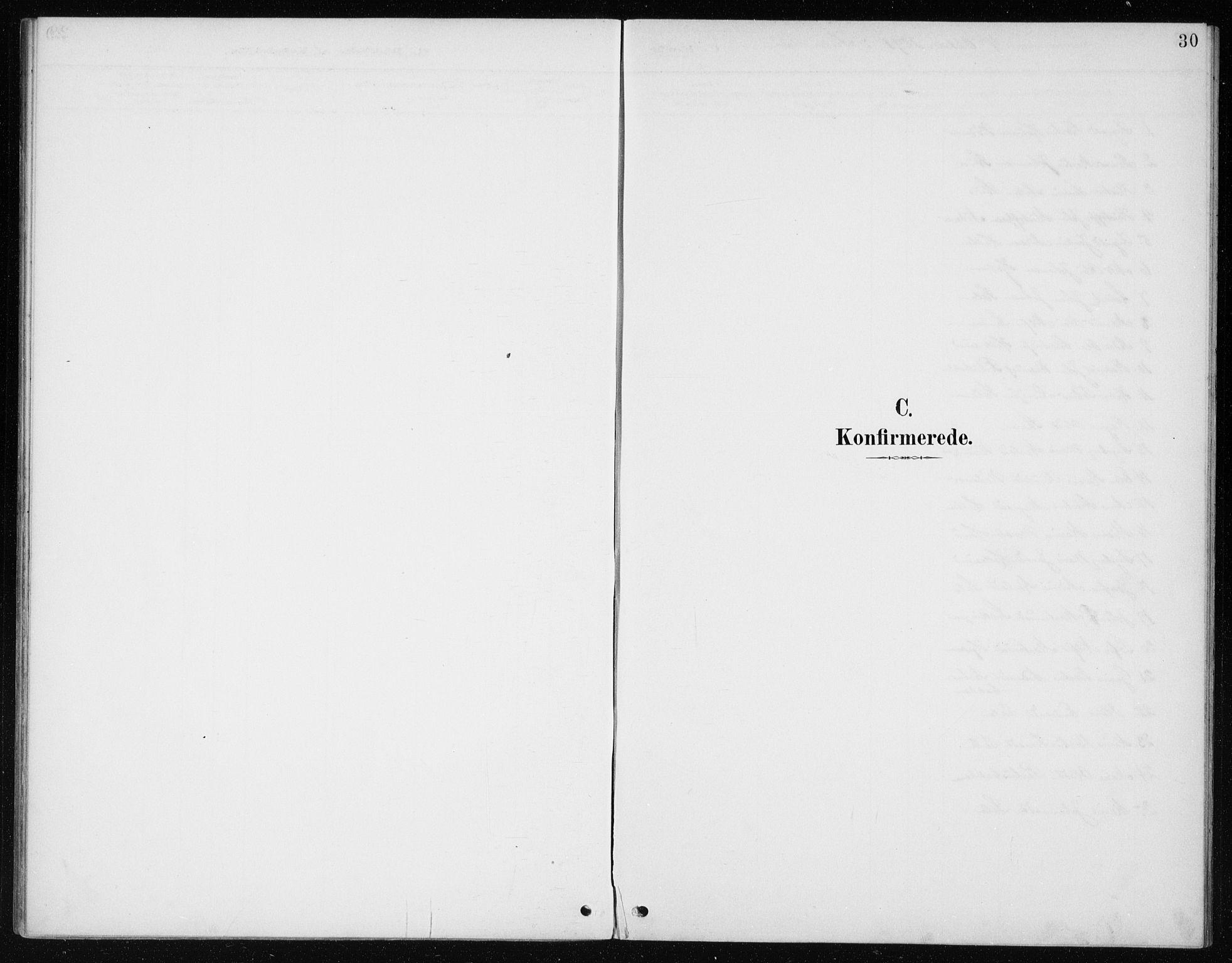 Manger sokneprestembete, AV/SAB-A-76801/H/Haa: Parish register (official) no. E  2, 1891-1902, p. 30