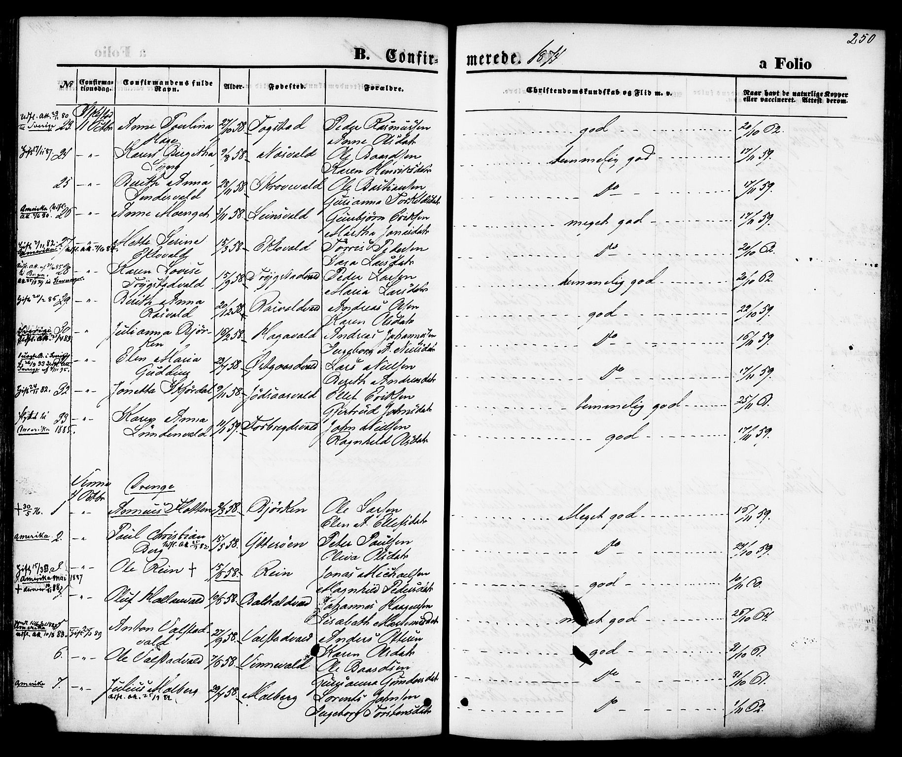 Ministerialprotokoller, klokkerbøker og fødselsregistre - Nord-Trøndelag, AV/SAT-A-1458/723/L0242: Parish register (official) no. 723A11, 1870-1880, p. 250