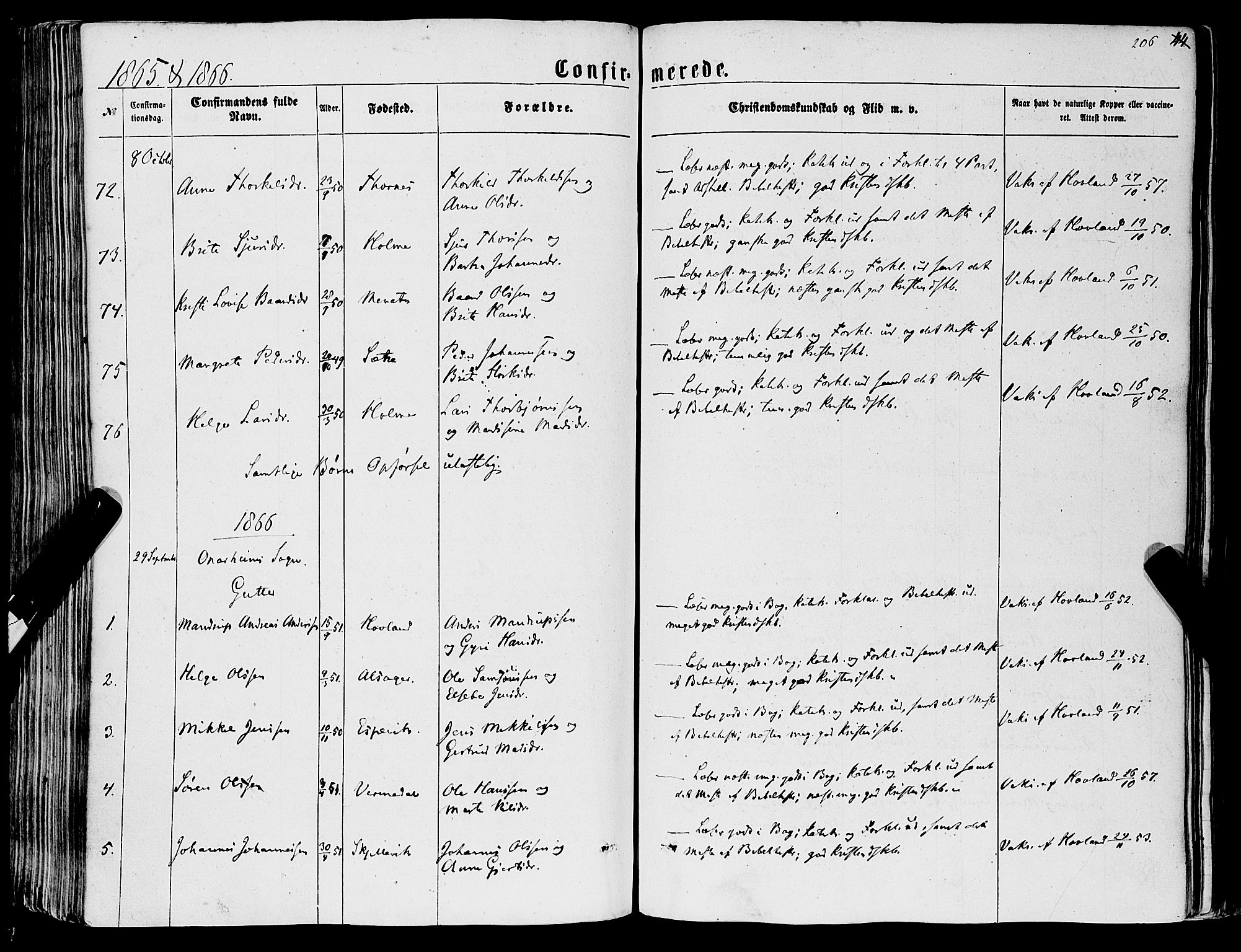 Tysnes sokneprestembete, AV/SAB-A-78601/H/Haa: Parish register (official) no. A 11, 1860-1871, p. 206