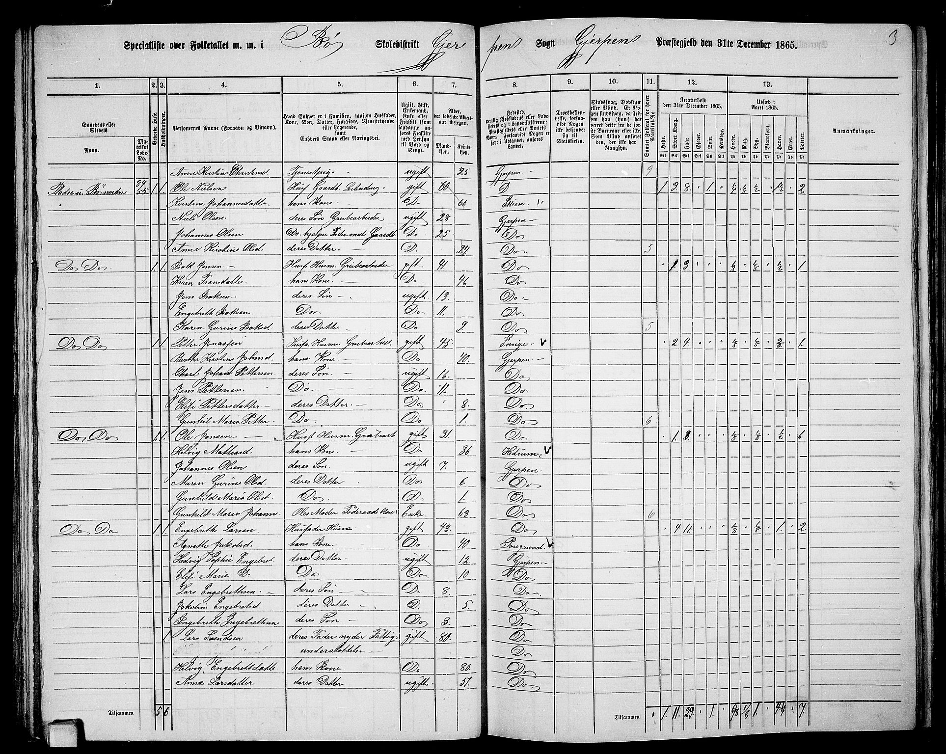 RA, 1865 census for Gjerpen, 1865, p. 61