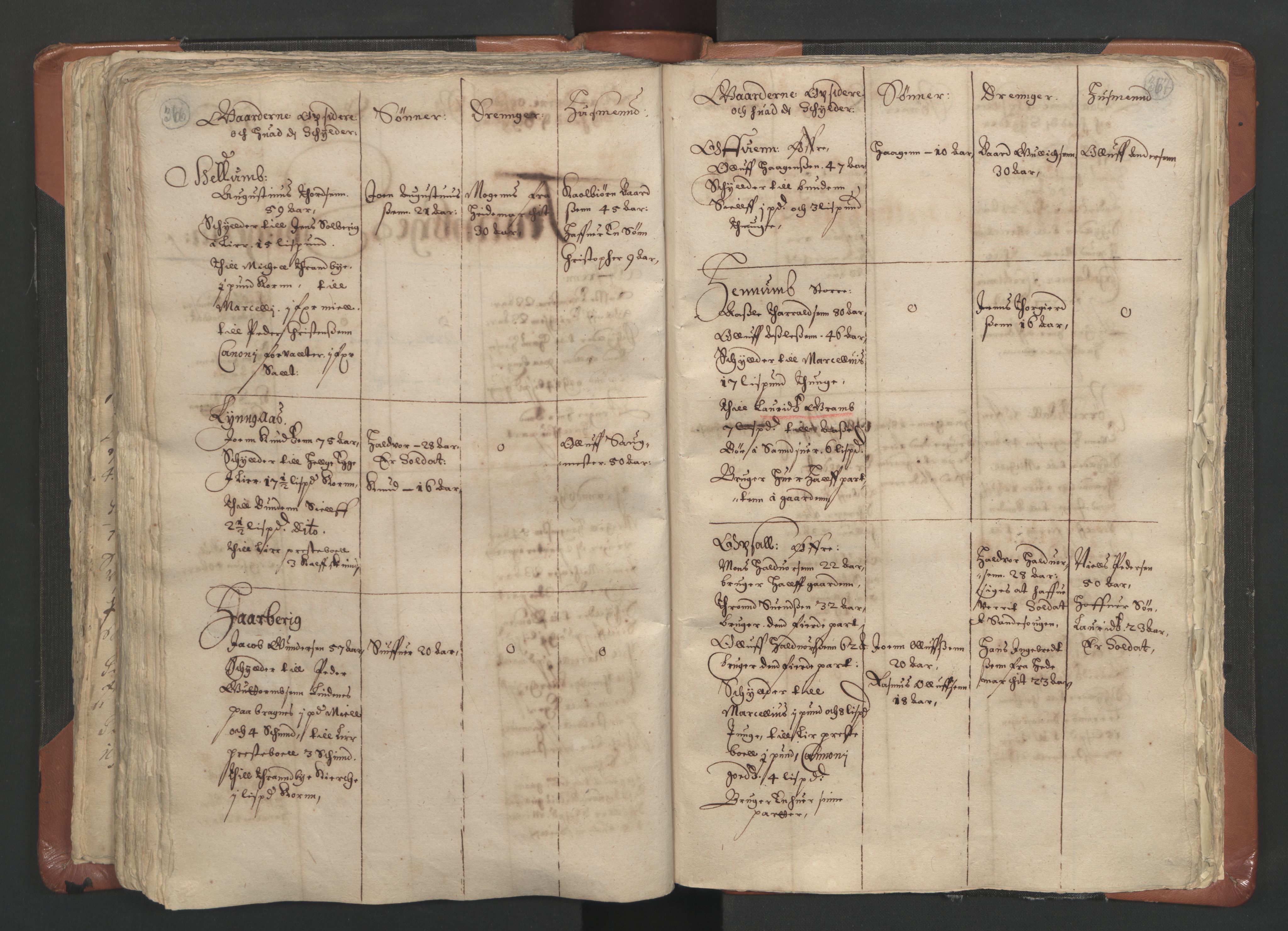 RA, Vicar's Census 1664-1666, no. 9: Bragernes deanery, 1664-1666, p. 366-367