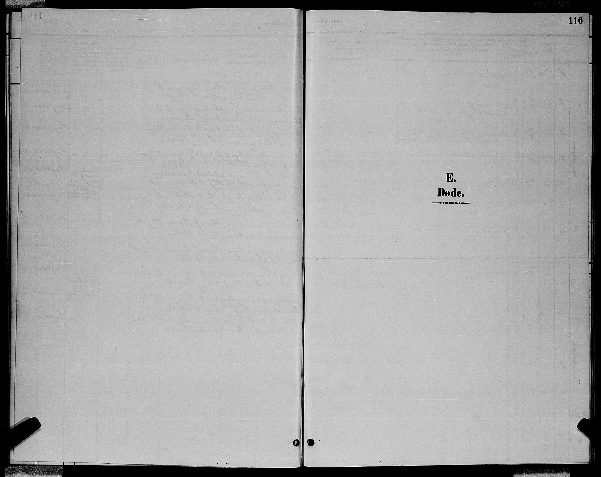 Ministerialprotokoller, klokkerbøker og fødselsregistre - Sør-Trøndelag, SAT/A-1456/688/L1028: Parish register (copy) no. 688C03, 1889-1899, p. 116