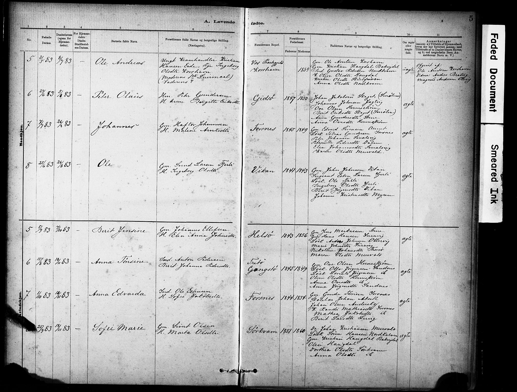 Ministerialprotokoller, klokkerbøker og fødselsregistre - Sør-Trøndelag, SAT/A-1456/635/L0551: Parish register (official) no. 635A01, 1882-1899, p. 5