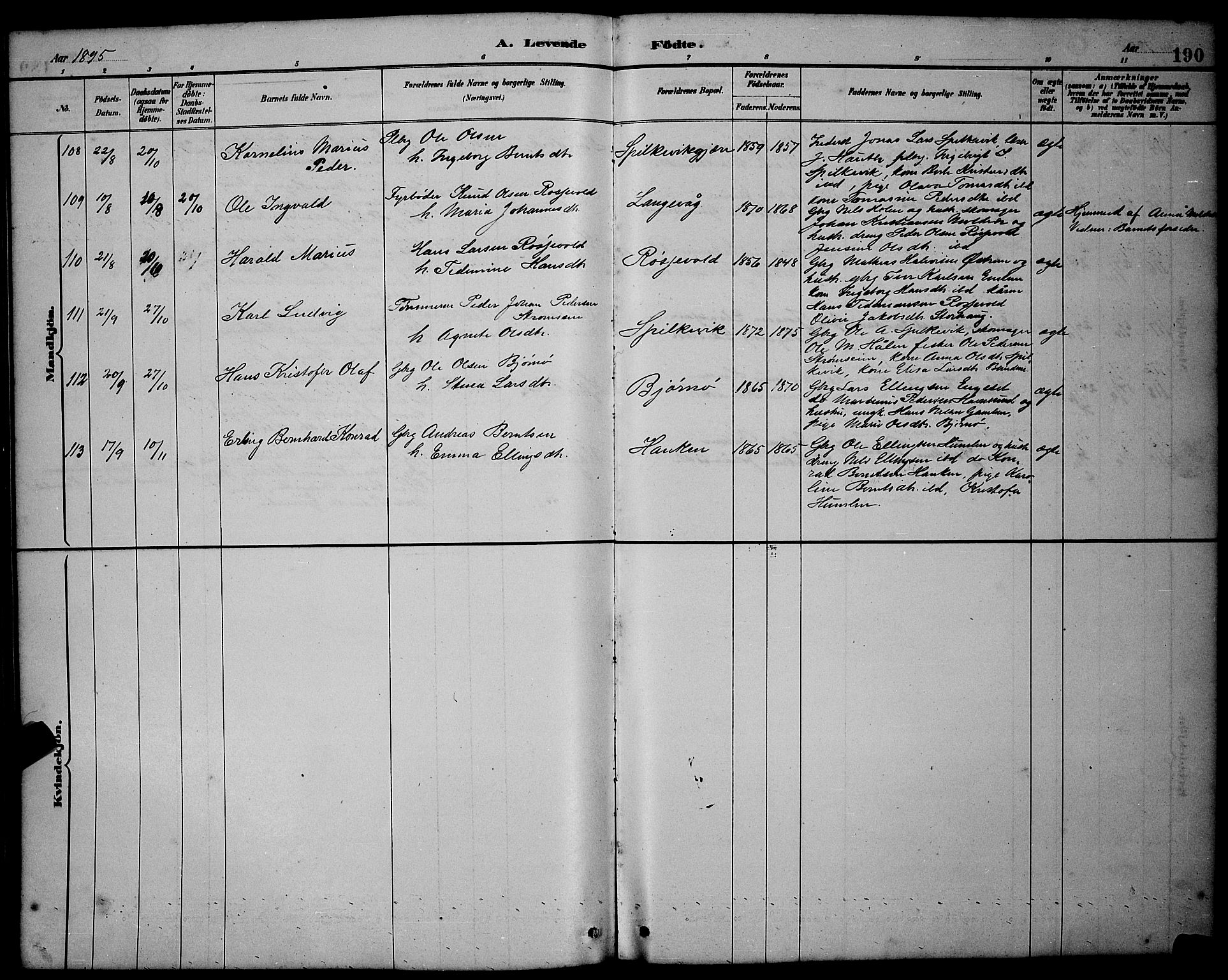 Ministerialprotokoller, klokkerbøker og fødselsregistre - Møre og Romsdal, AV/SAT-A-1454/528/L0431: Parish register (copy) no. 528C12, 1885-1898, p. 190