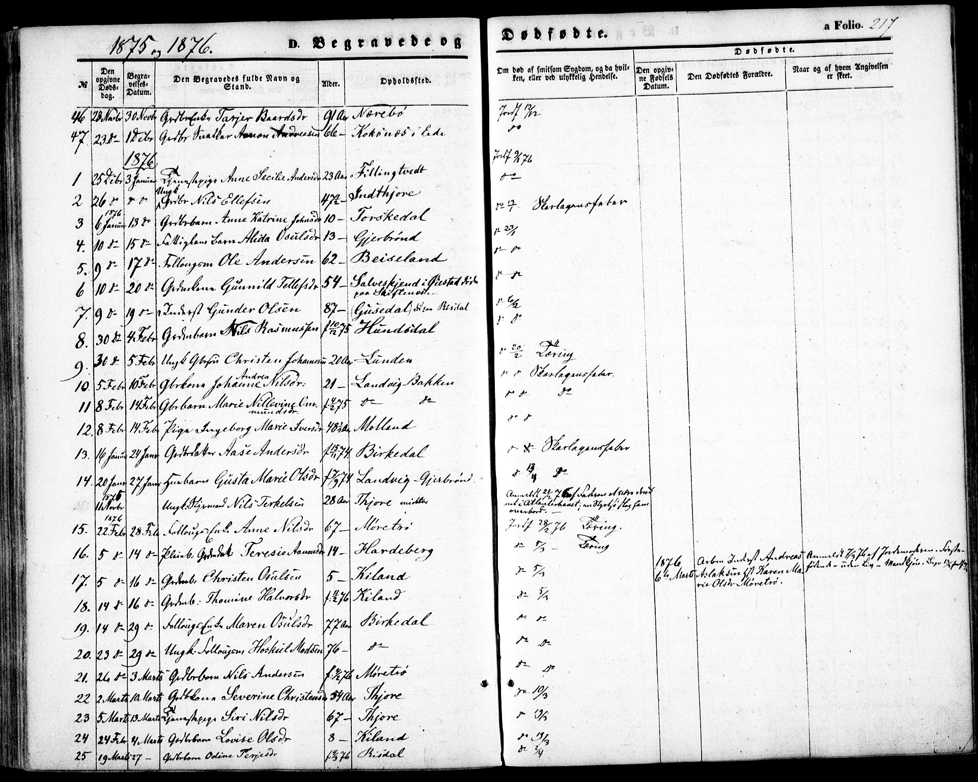 Hommedal sokneprestkontor, AV/SAK-1111-0023/F/Fa/Fab/L0005: Parish register (official) no. A 5, 1861-1877, p. 217