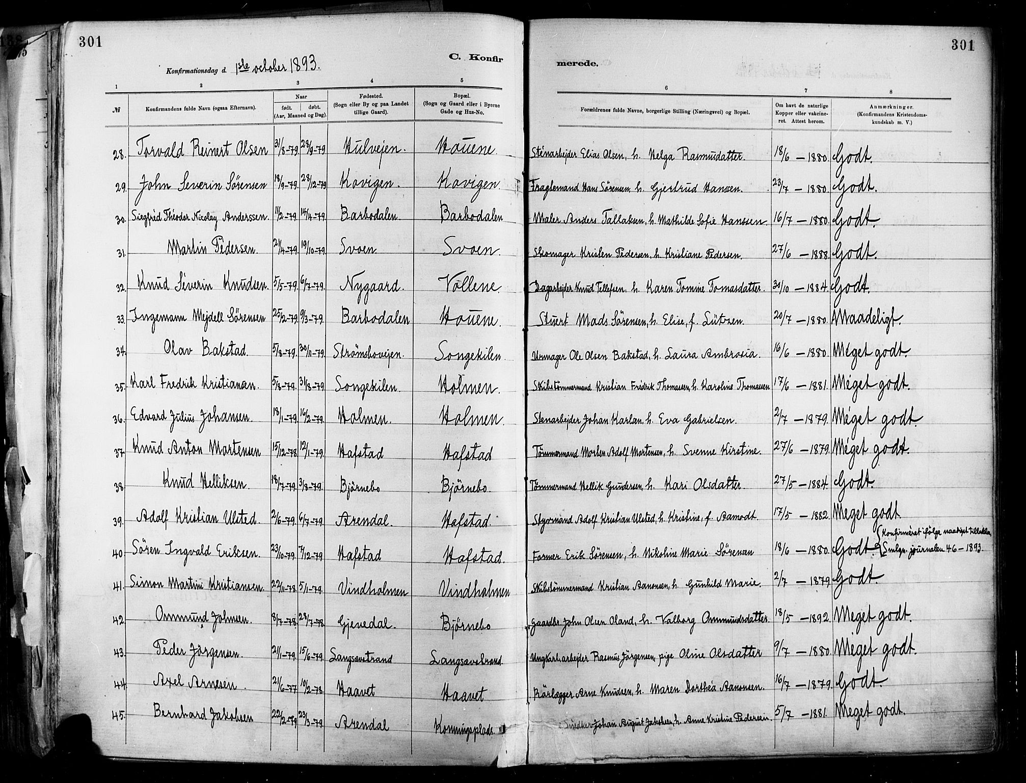 Barbu sokneprestkontor, SAK/1111-0003/F/Fa/L0002: Parish register (official) no. A 2, 1883-1898, p. 301