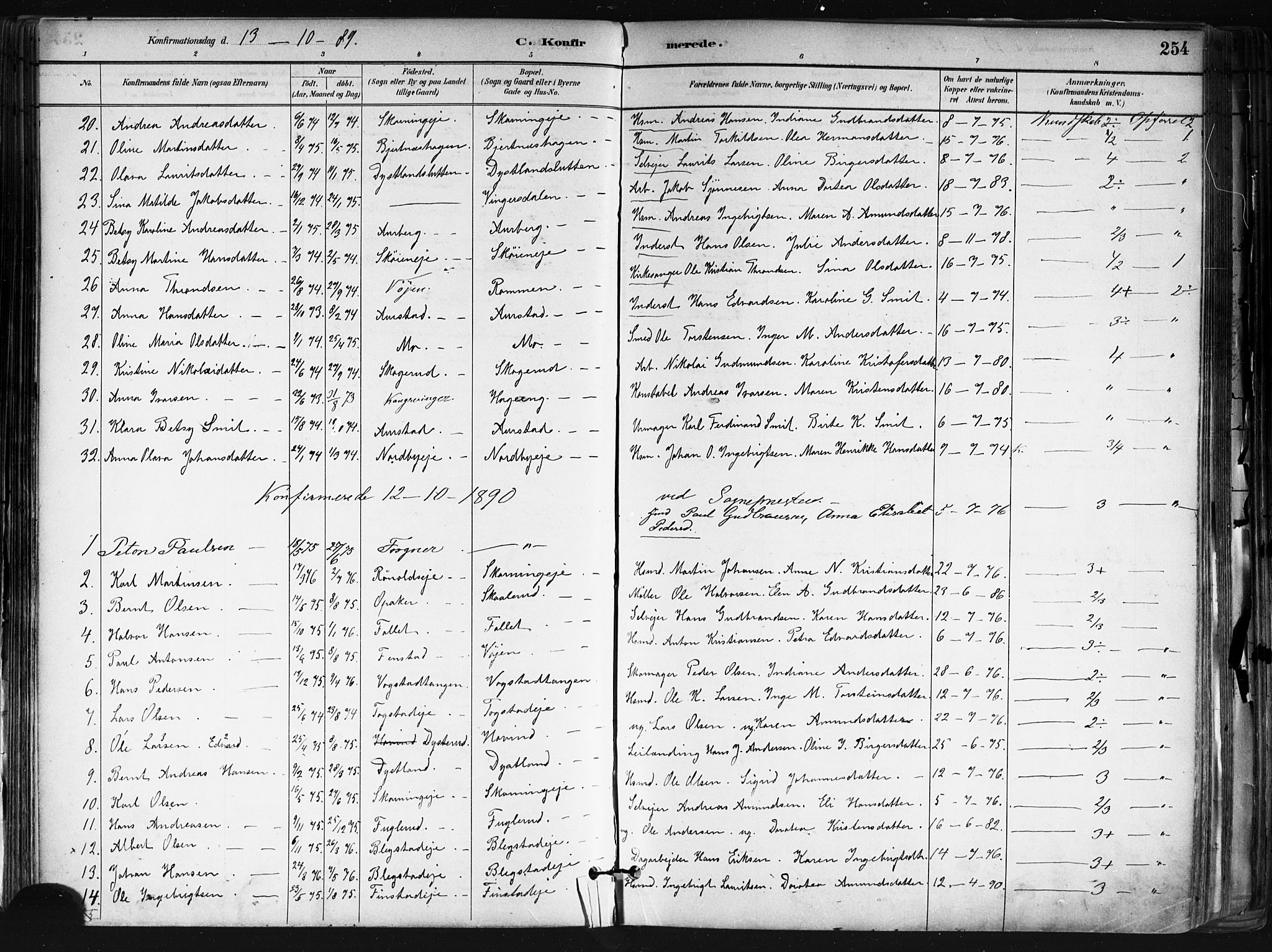 Nes prestekontor Kirkebøker, SAO/A-10410/F/Fa/L0010: Parish register (official) no. I 10, 1883-1898, p. 254