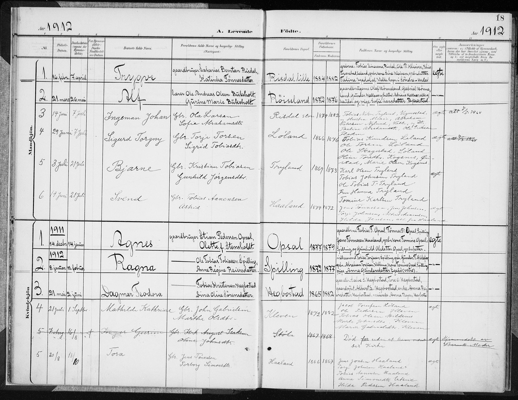 Nord-Audnedal sokneprestkontor, AV/SAK-1111-0032/F/Fa/Fab/L0004: Parish register (official) no. A 4, 1901-1917, p. 18