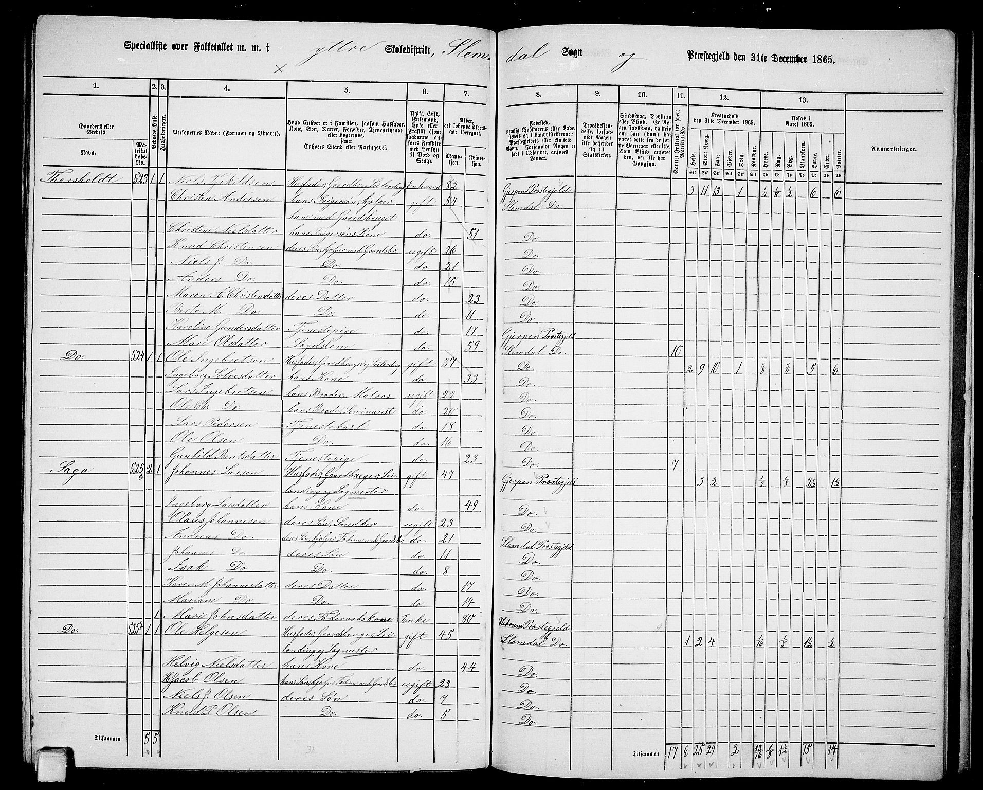 RA, 1865 census for Slemdal, 1865, p. 26