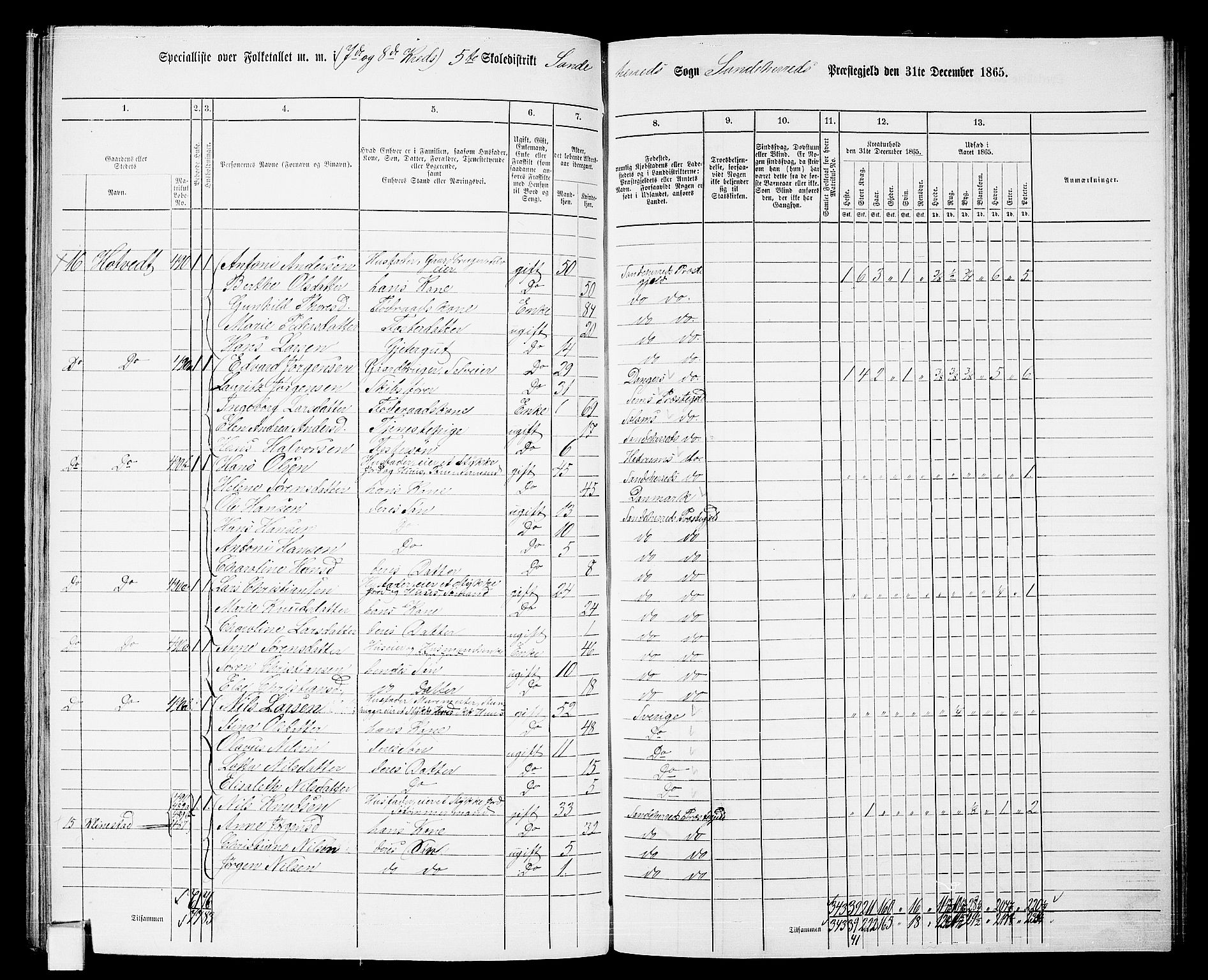 RA, 1865 census for Sandeherred/Sandeherred, 1865, p. 145