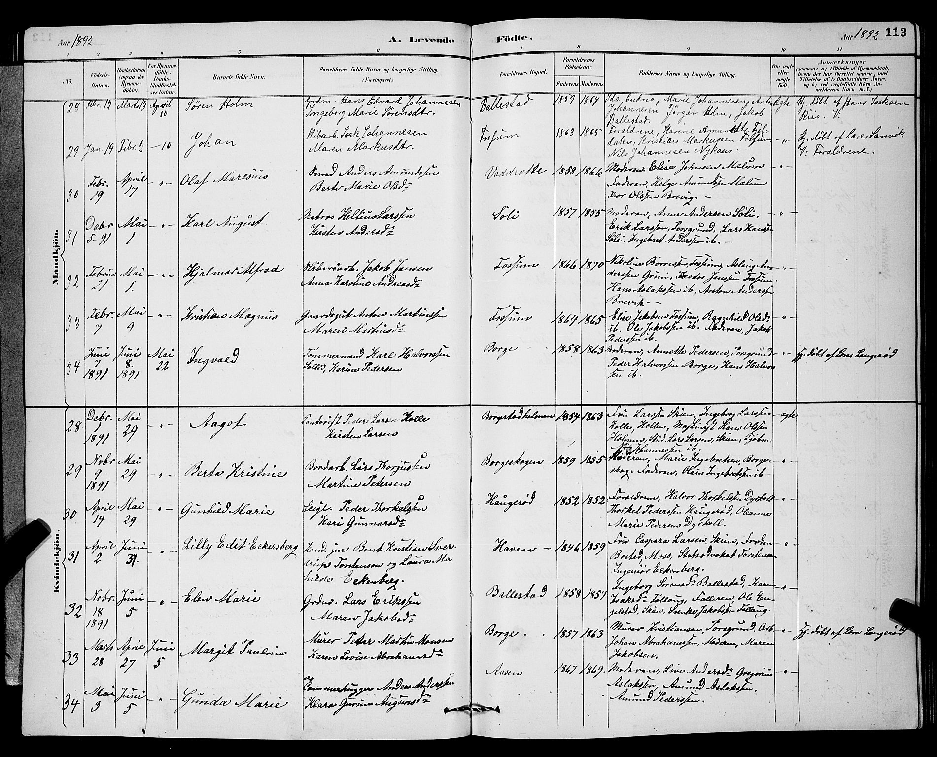 Gjerpen kirkebøker, AV/SAKO-A-265/G/Ga/L0002: Parish register (copy) no. I 2, 1883-1900, p. 113