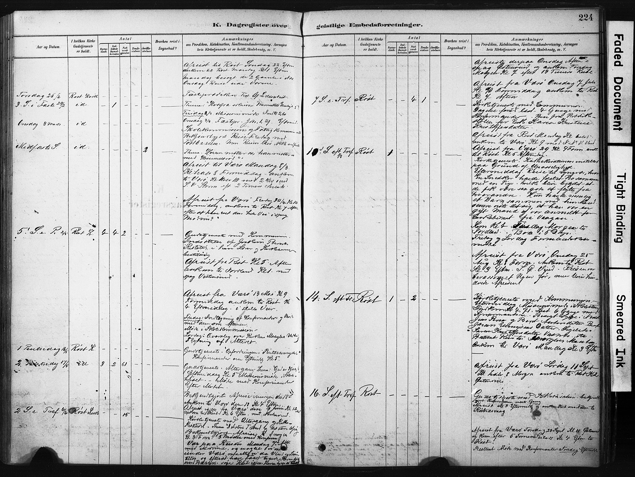 Ministerialprotokoller, klokkerbøker og fødselsregistre - Nordland, AV/SAT-A-1459/808/L0128: Parish register (official) no. 808A01, 1880-1902, p. 224