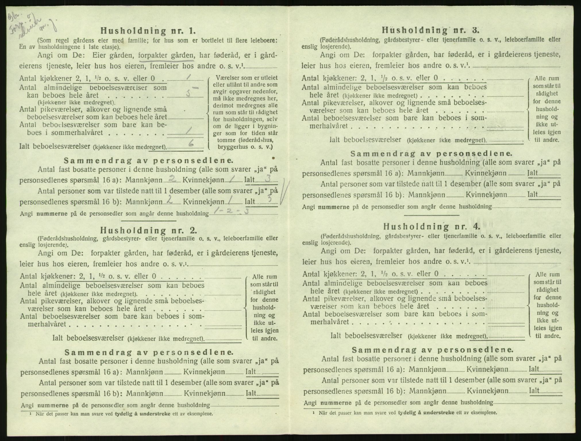 SAK, 1920 census for Hornnes, 1920, p. 554