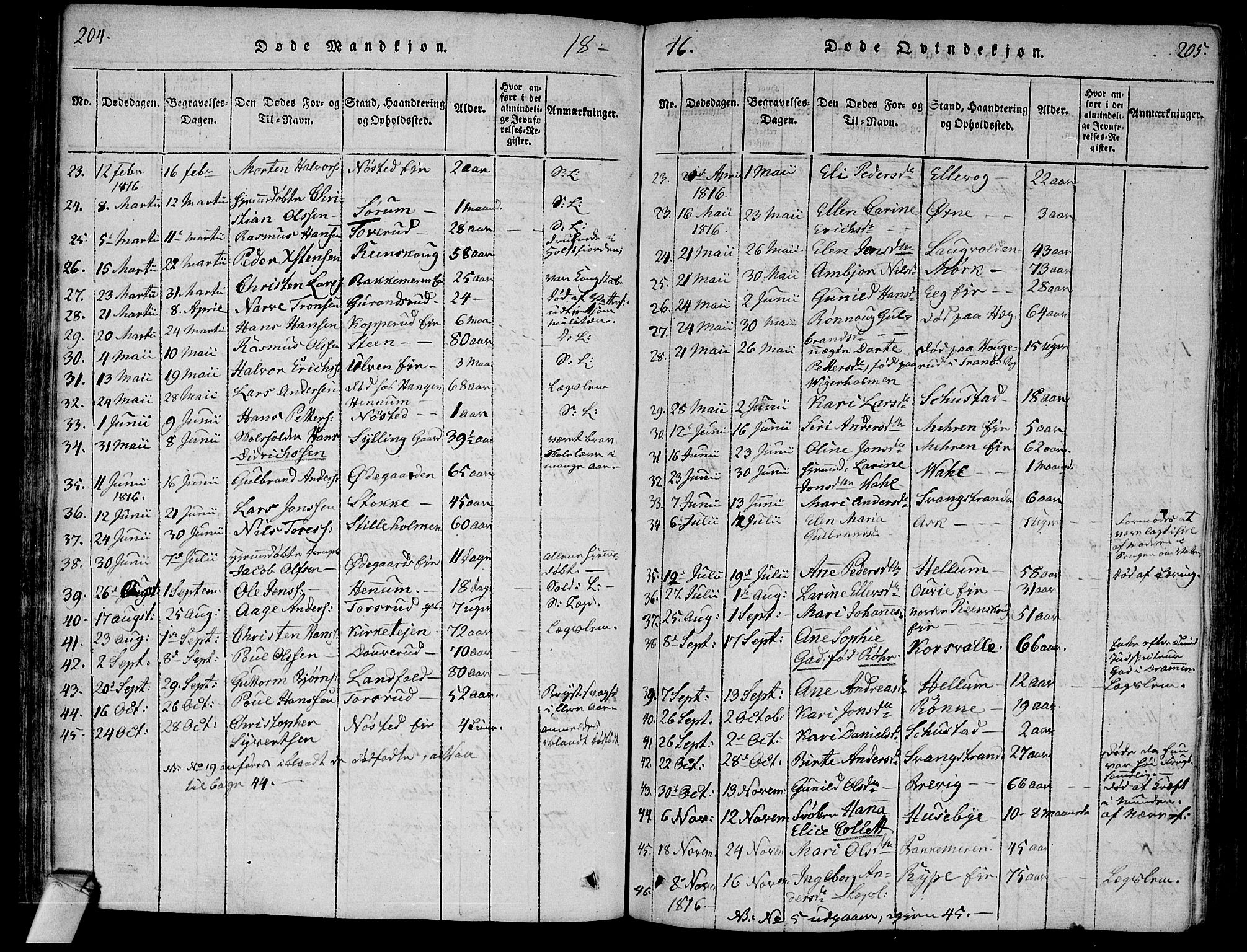 Lier kirkebøker, SAKO/A-230/F/Fa/L0008: Parish register (official) no. I 8, 1813-1825, p. 204-205