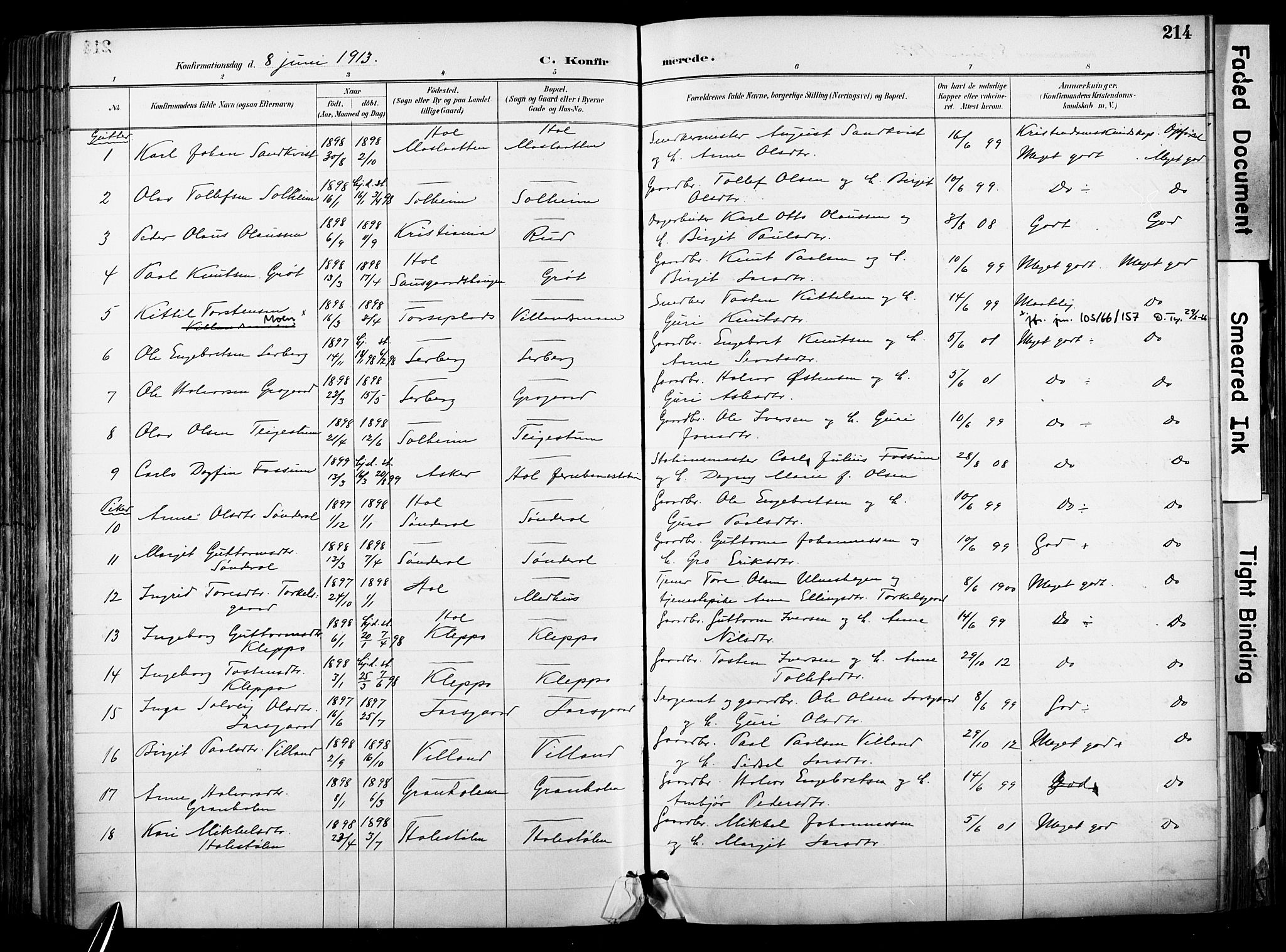 Hol kirkebøker, SAKO/A-227/F/Fa/L0003: Parish register (official) no. I 3, 1887-1918, p. 214