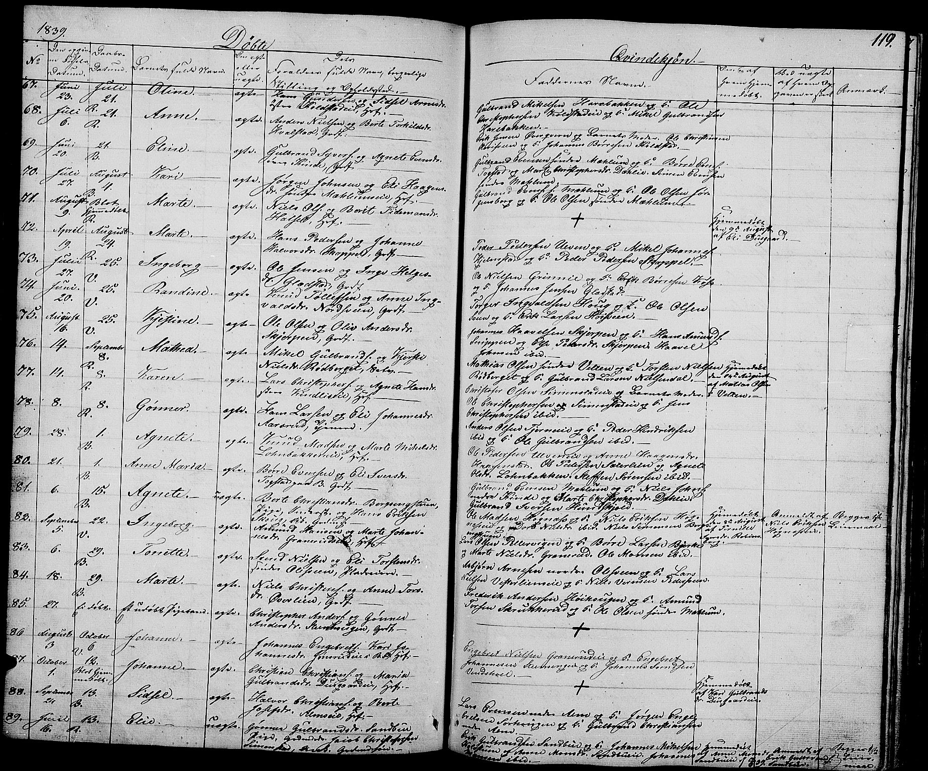 Ringsaker prestekontor, AV/SAH-PREST-014/L/La/L0005: Parish register (copy) no. 5, 1839-1850, p. 119