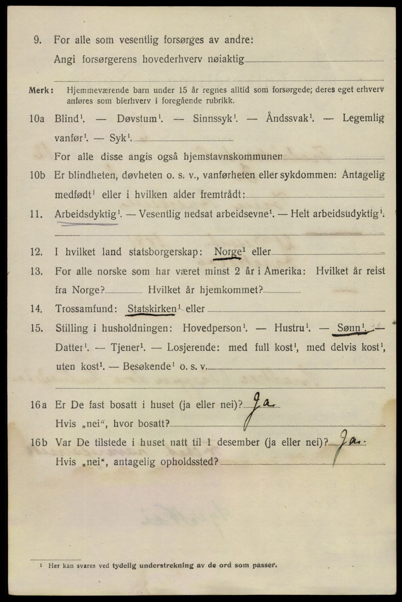 SAO, 1920 census for Fredrikstad, 1920, p. 31054