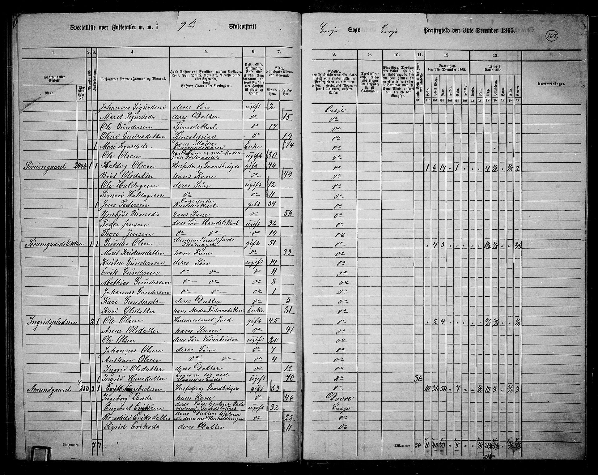 RA, 1865 census for Lesja, 1865, p. 156