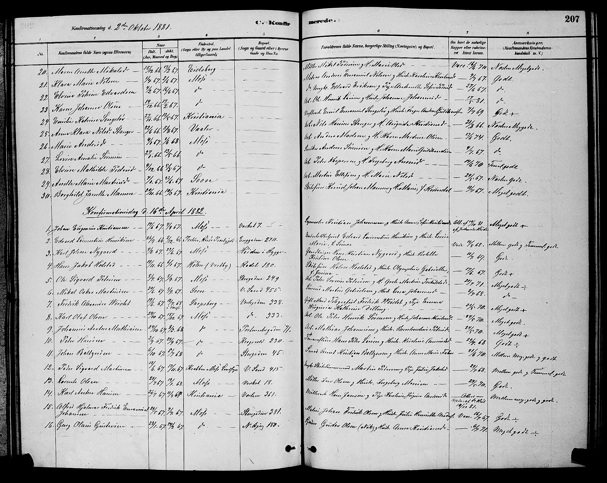Moss prestekontor Kirkebøker, AV/SAO-A-2003/G/Ga/L0005: Parish register (copy) no. I 5, 1878-1888, p. 207