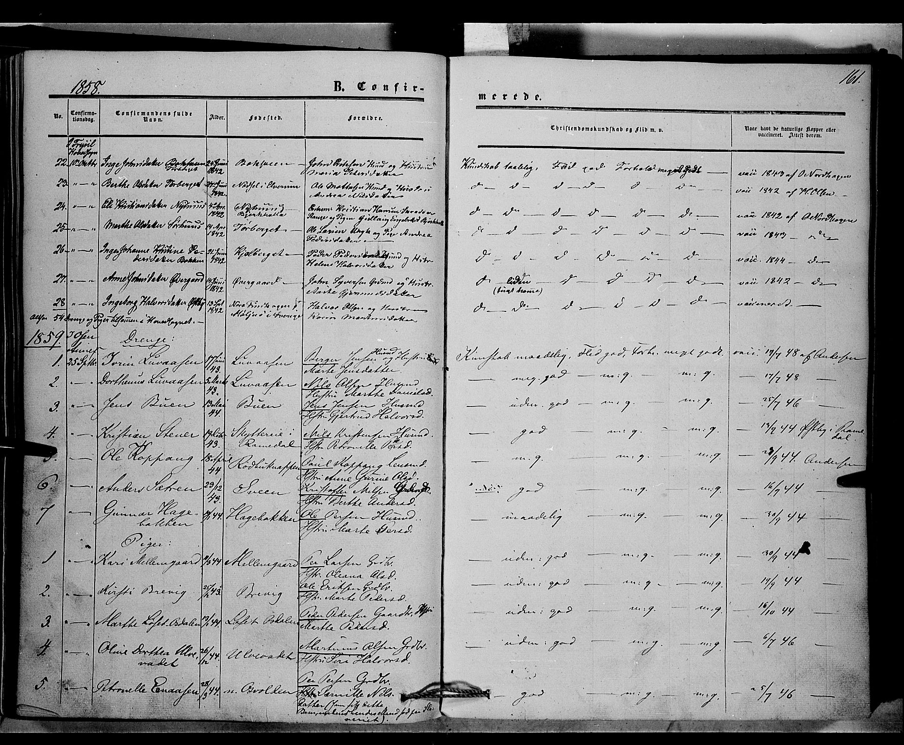 Trysil prestekontor, SAH/PREST-046/H/Ha/Haa/L0005: Parish register (official) no. 5, 1851-1865, p. 161