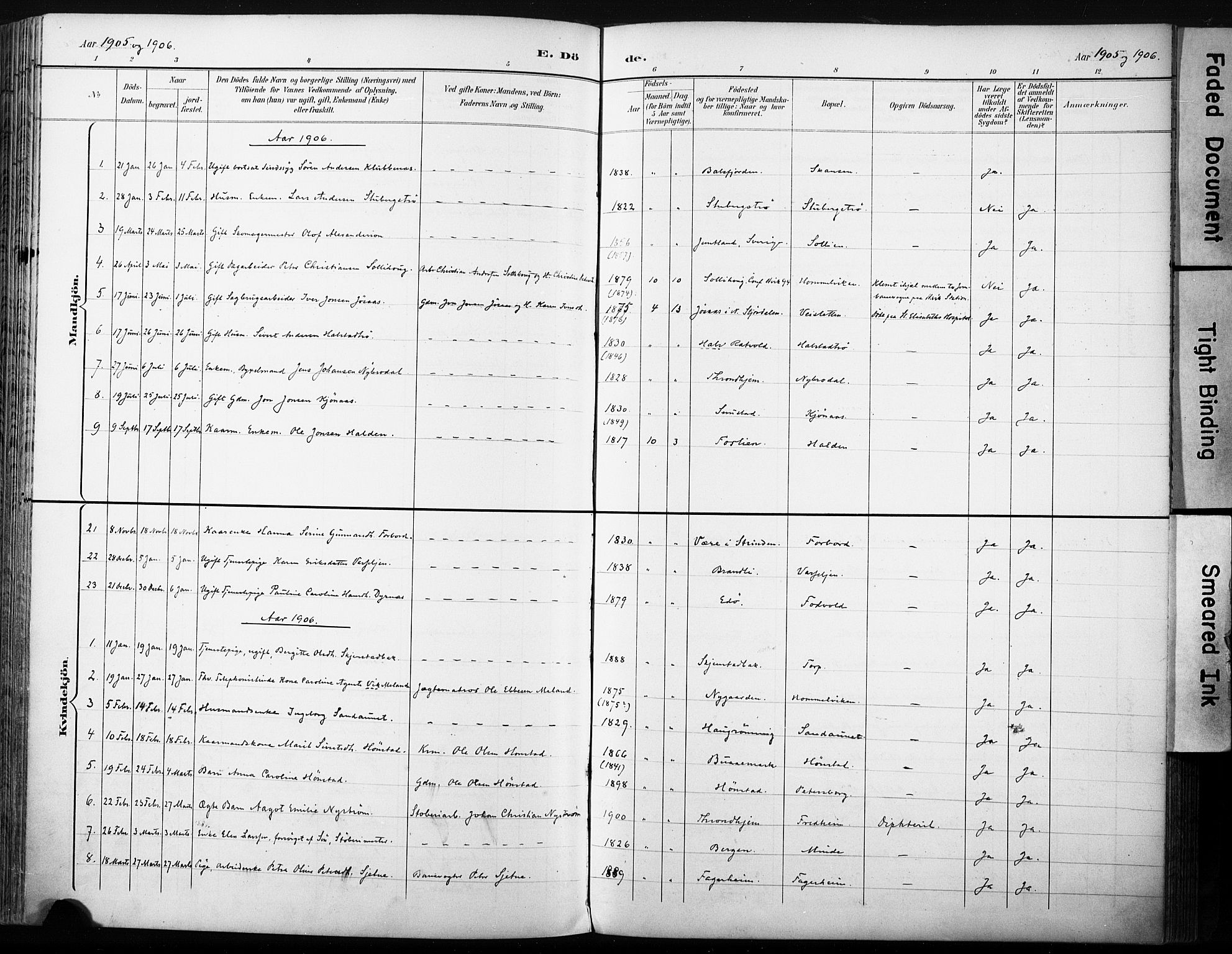 Ministerialprotokoller, klokkerbøker og fødselsregistre - Sør-Trøndelag, AV/SAT-A-1456/616/L0411: Parish register (official) no. 616A08, 1894-1906