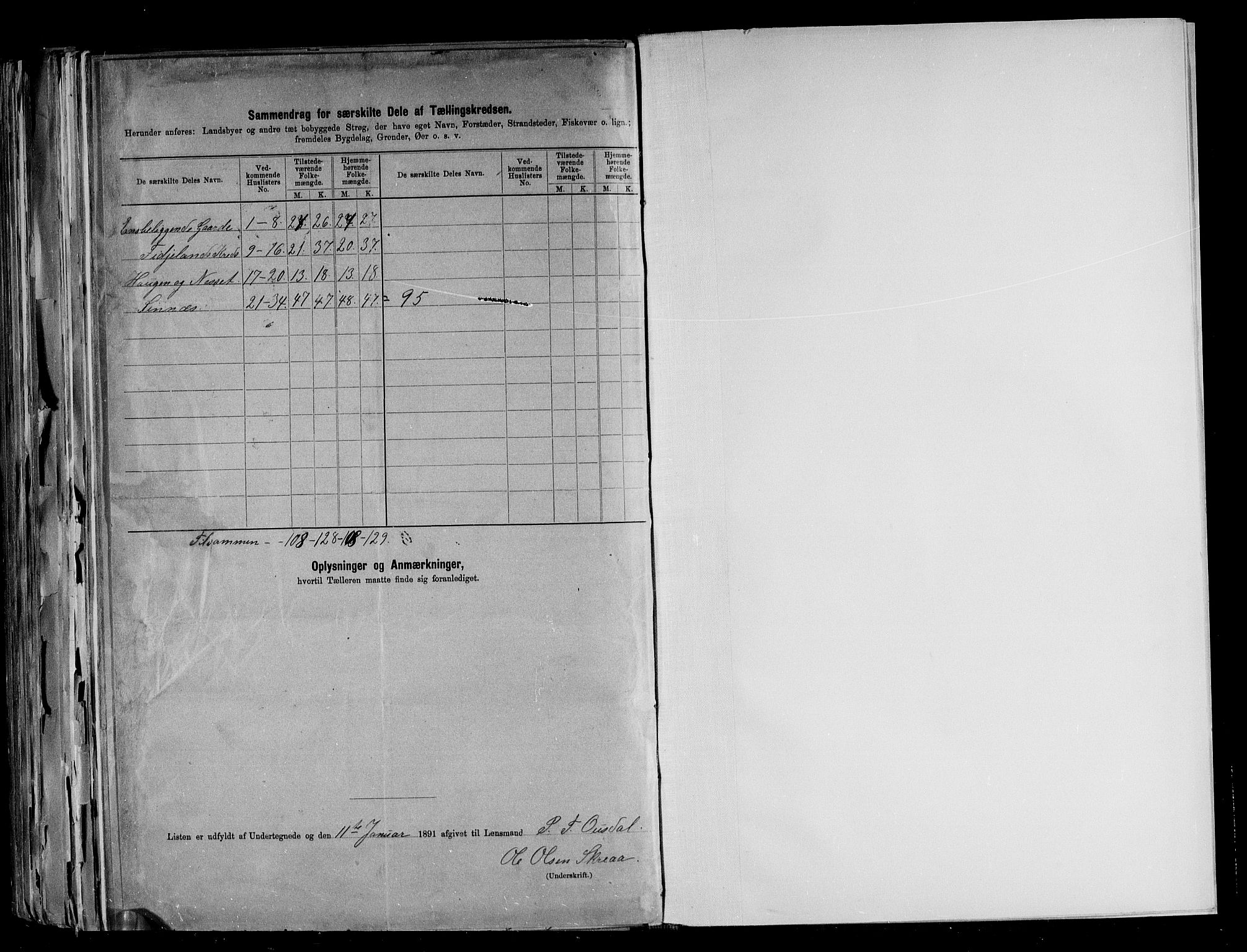 RA, 1891 census for 1046 Sirdal, 1891, p. 20