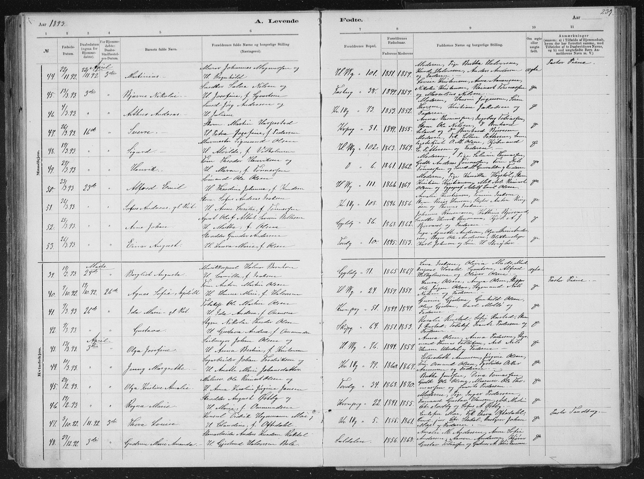 Kristiansand domprosti, SAK/1112-0006/F/Fb/L0014: Parish register (copy) no. B 14, 1881-1896, p. 239