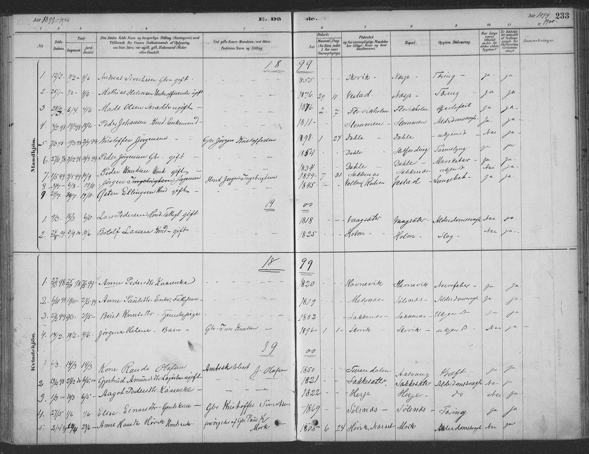 Ministerialprotokoller, klokkerbøker og fødselsregistre - Møre og Romsdal, SAT/A-1454/547/L0604: Parish register (official) no. 547A06, 1878-1906, p. 233