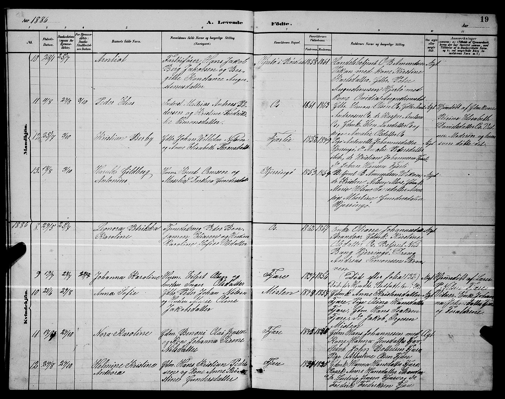 Ministerialprotokoller, klokkerbøker og fødselsregistre - Nordland, SAT/A-1459/803/L0076: Parish register (copy) no. 803C03, 1882-1897, p. 19
