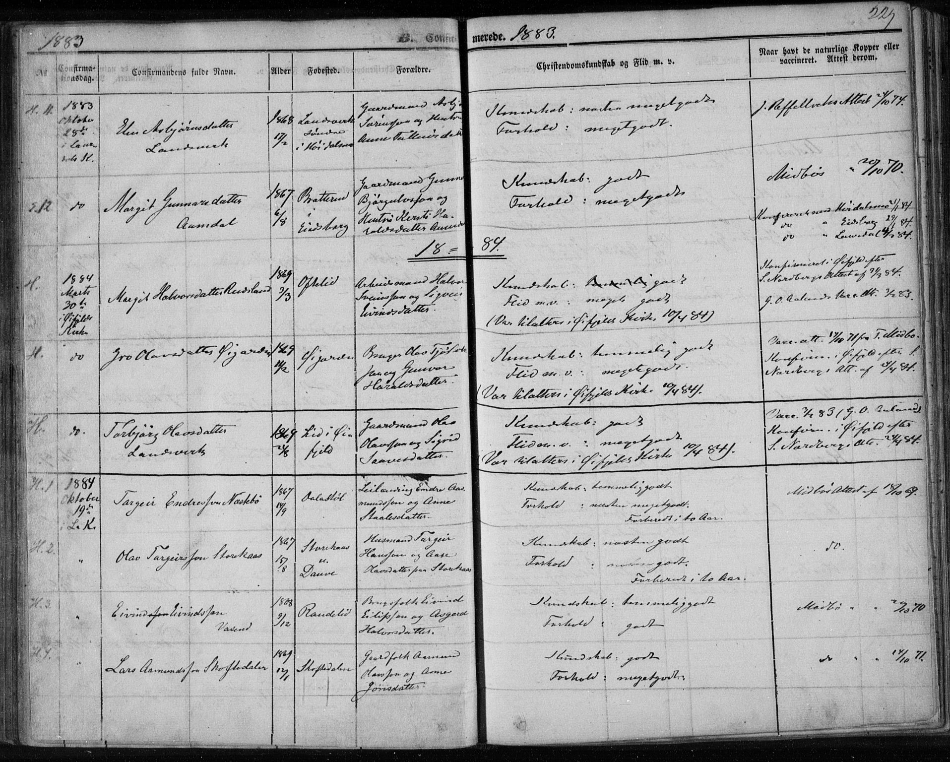 Lårdal kirkebøker, AV/SAKO-A-284/F/Fa/L0006: Parish register (official) no. I 6, 1861-1886, p. 229