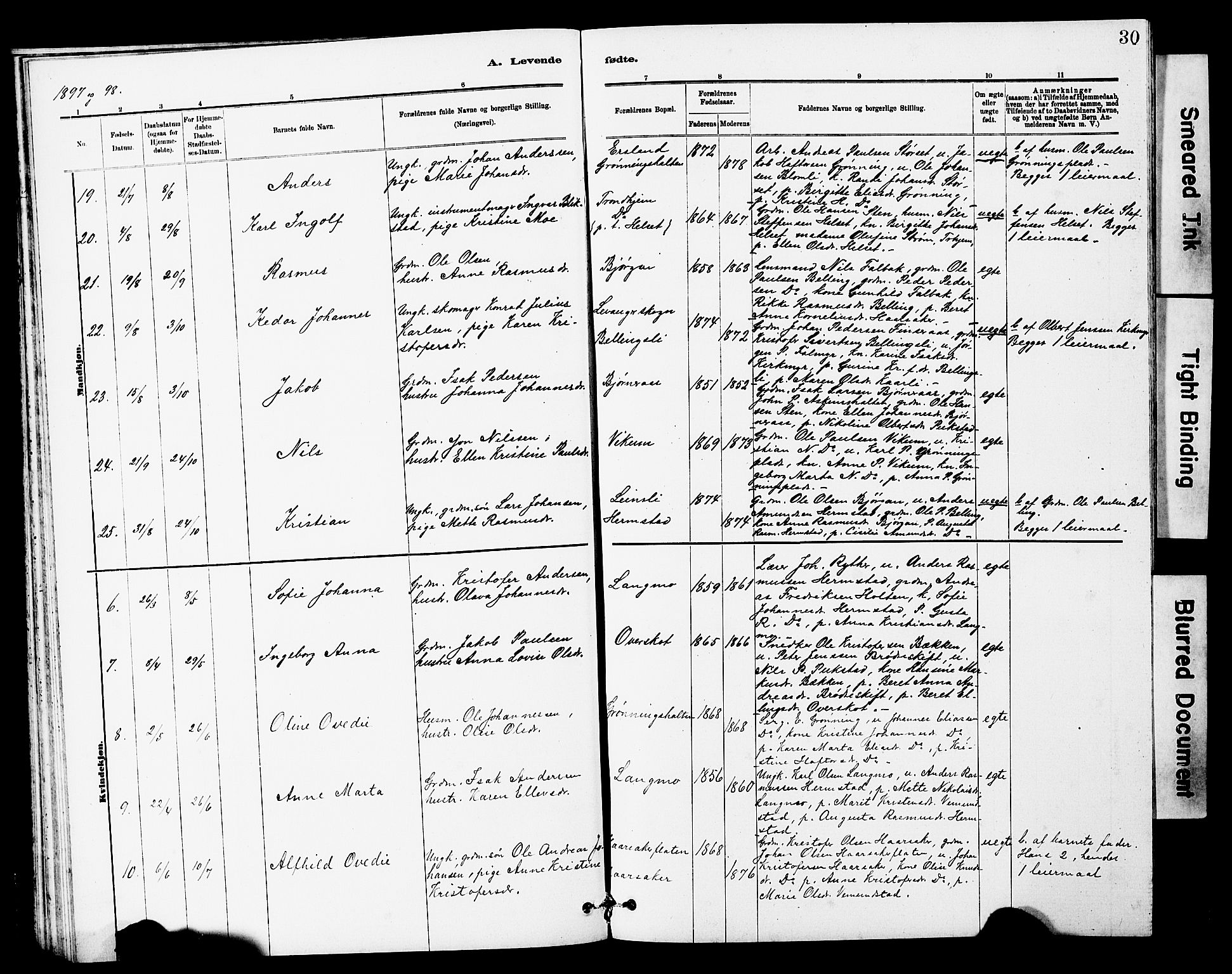 Ministerialprotokoller, klokkerbøker og fødselsregistre - Sør-Trøndelag, SAT/A-1456/646/L0628: Parish register (copy) no. 646C01, 1880-1903, p. 30