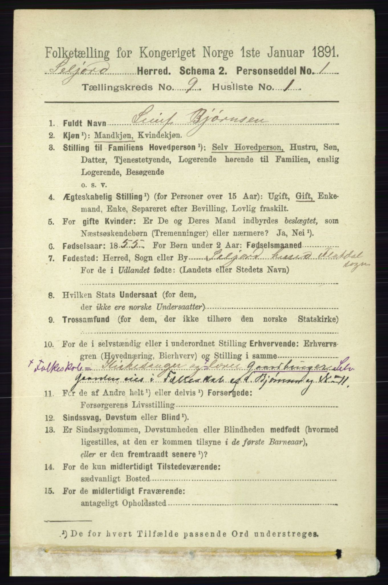 RA, 1891 census for 0828 Seljord, 1891, p. 3171