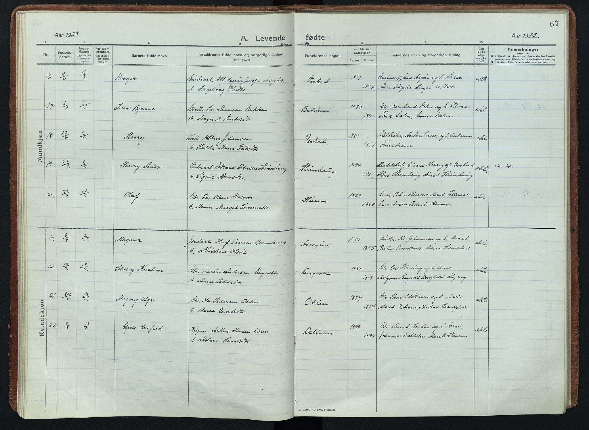 Alvdal prestekontor, AV/SAH-PREST-060/H/Ha/Haa/L0005: Parish register (official) no. 5, 1913-1930, p. 67