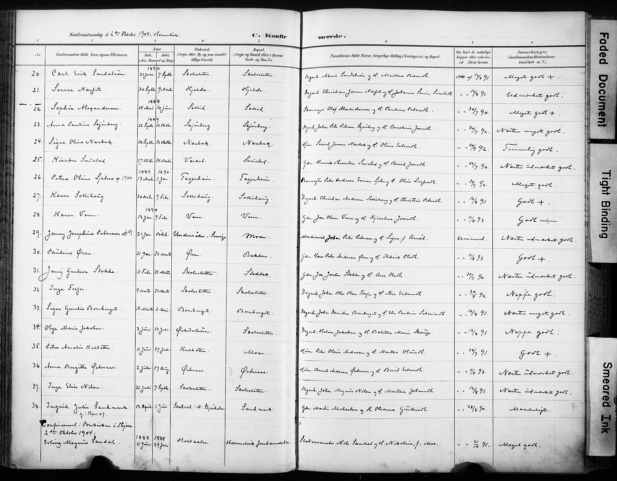 Ministerialprotokoller, klokkerbøker og fødselsregistre - Sør-Trøndelag, AV/SAT-A-1456/616/L0411: Parish register (official) no. 616A08, 1894-1906