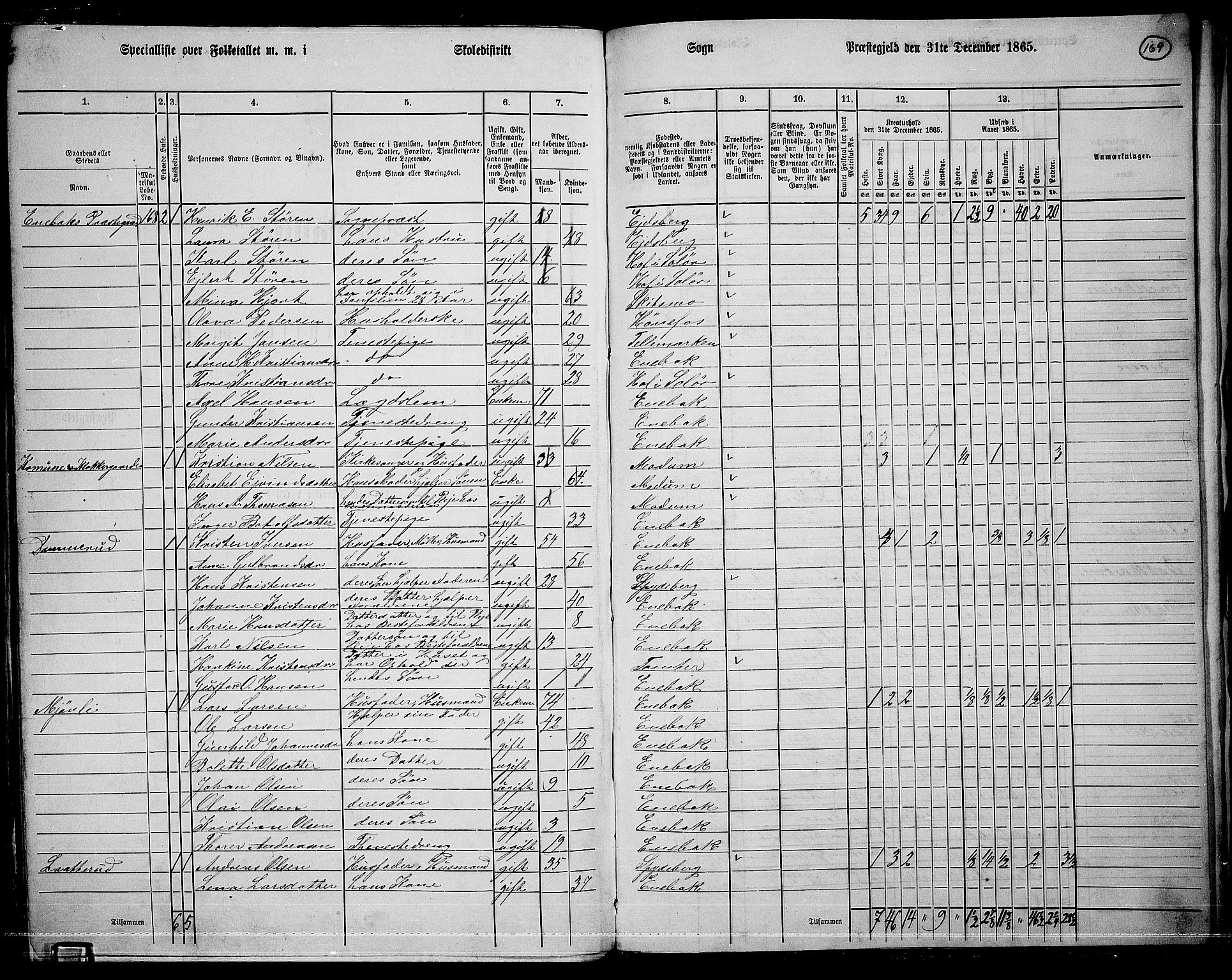 RA, 1865 census for Enebakk, 1865, p. 146