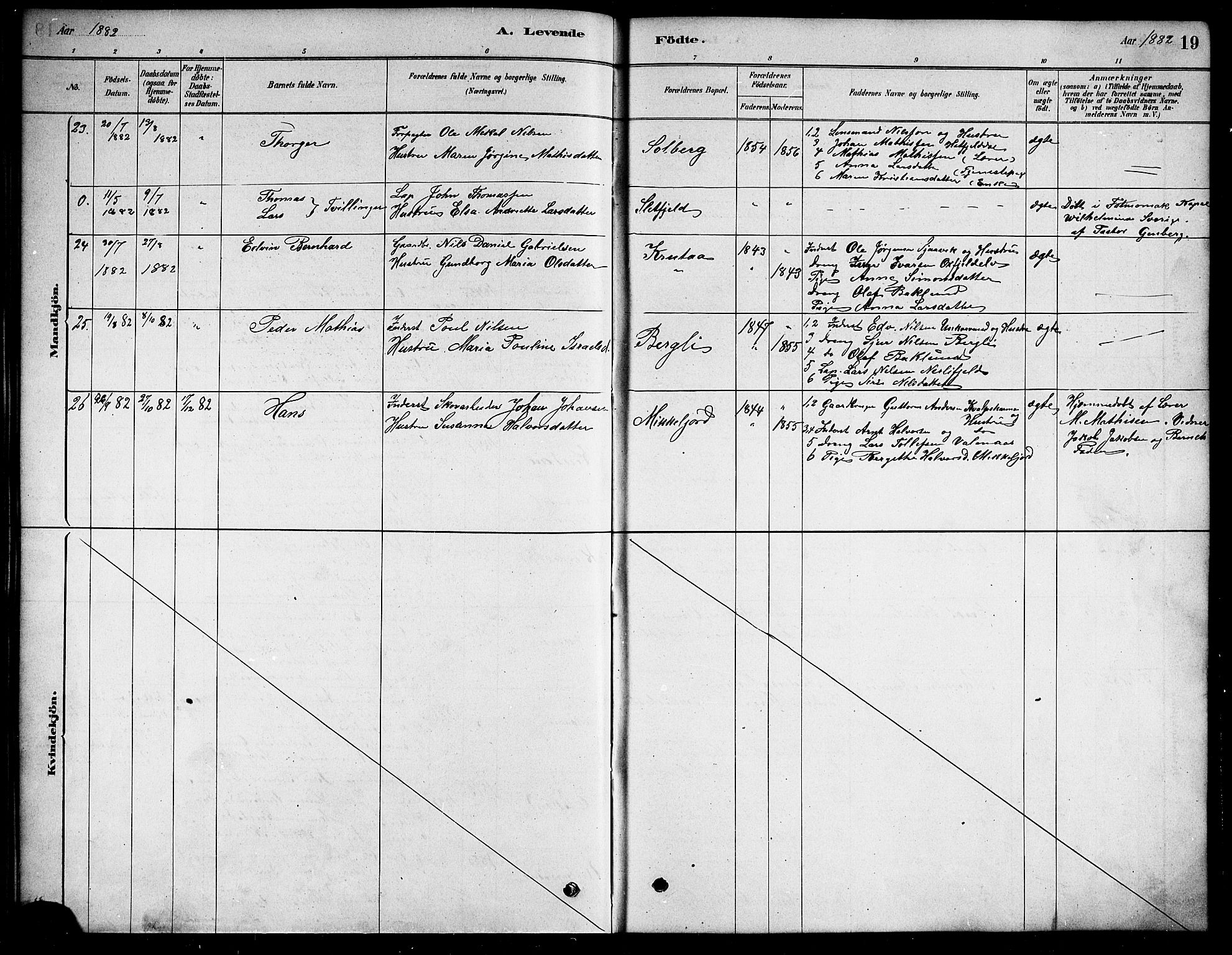 Ministerialprotokoller, klokkerbøker og fødselsregistre - Nordland, SAT/A-1459/823/L0330: Parish register (copy) no. 823C02, 1879-1916, p. 19