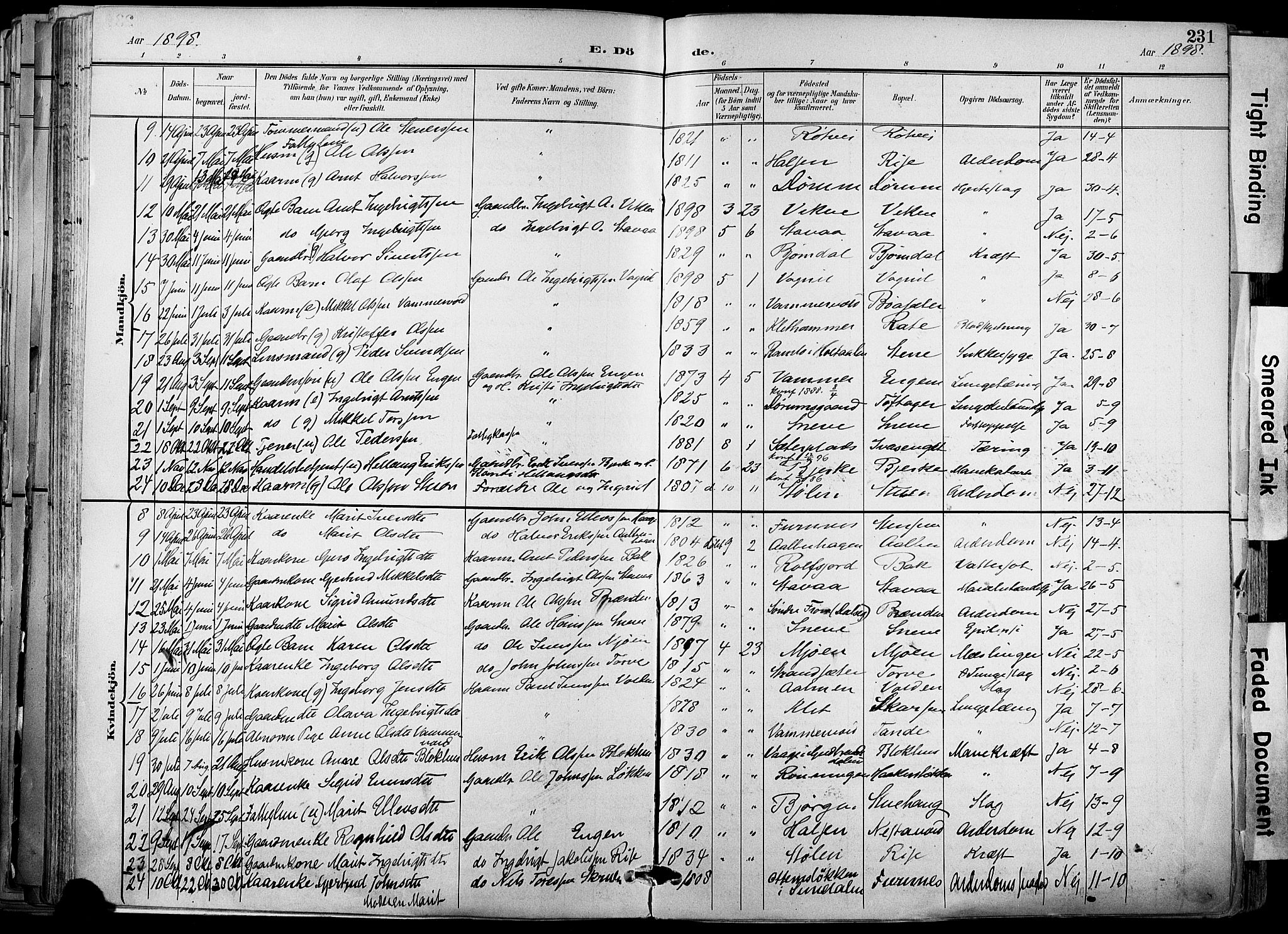 Ministerialprotokoller, klokkerbøker og fødselsregistre - Sør-Trøndelag, SAT/A-1456/678/L0902: Parish register (official) no. 678A11, 1895-1911, p. 231