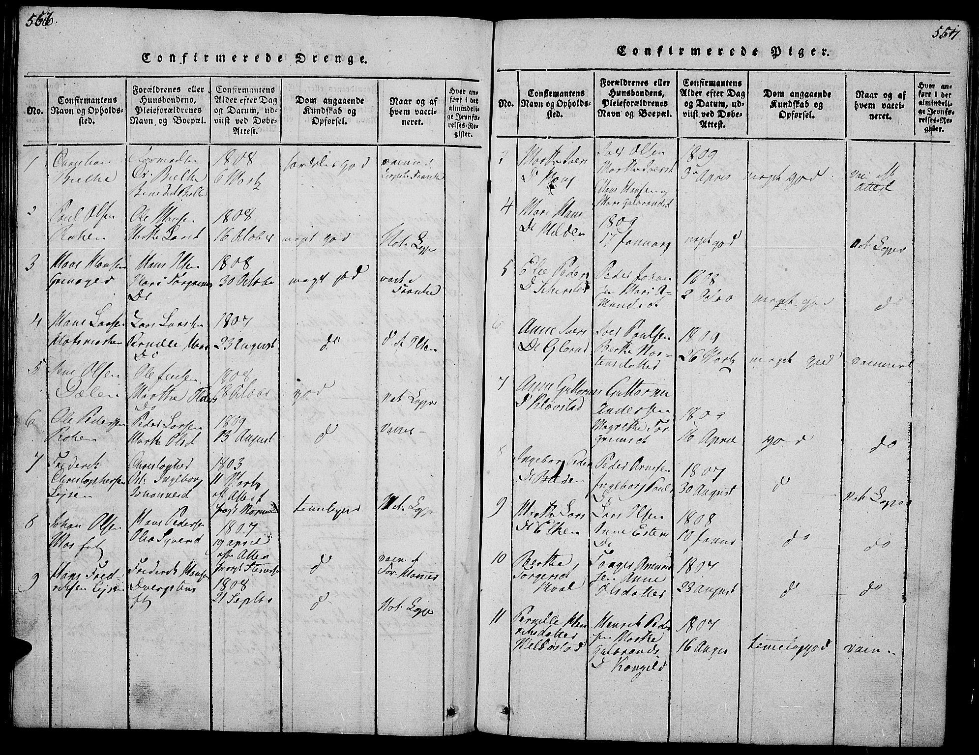 Gran prestekontor, SAH/PREST-112/H/Ha/Hab/L0001: Parish register (copy) no. 1, 1815-1824, p. 556-557