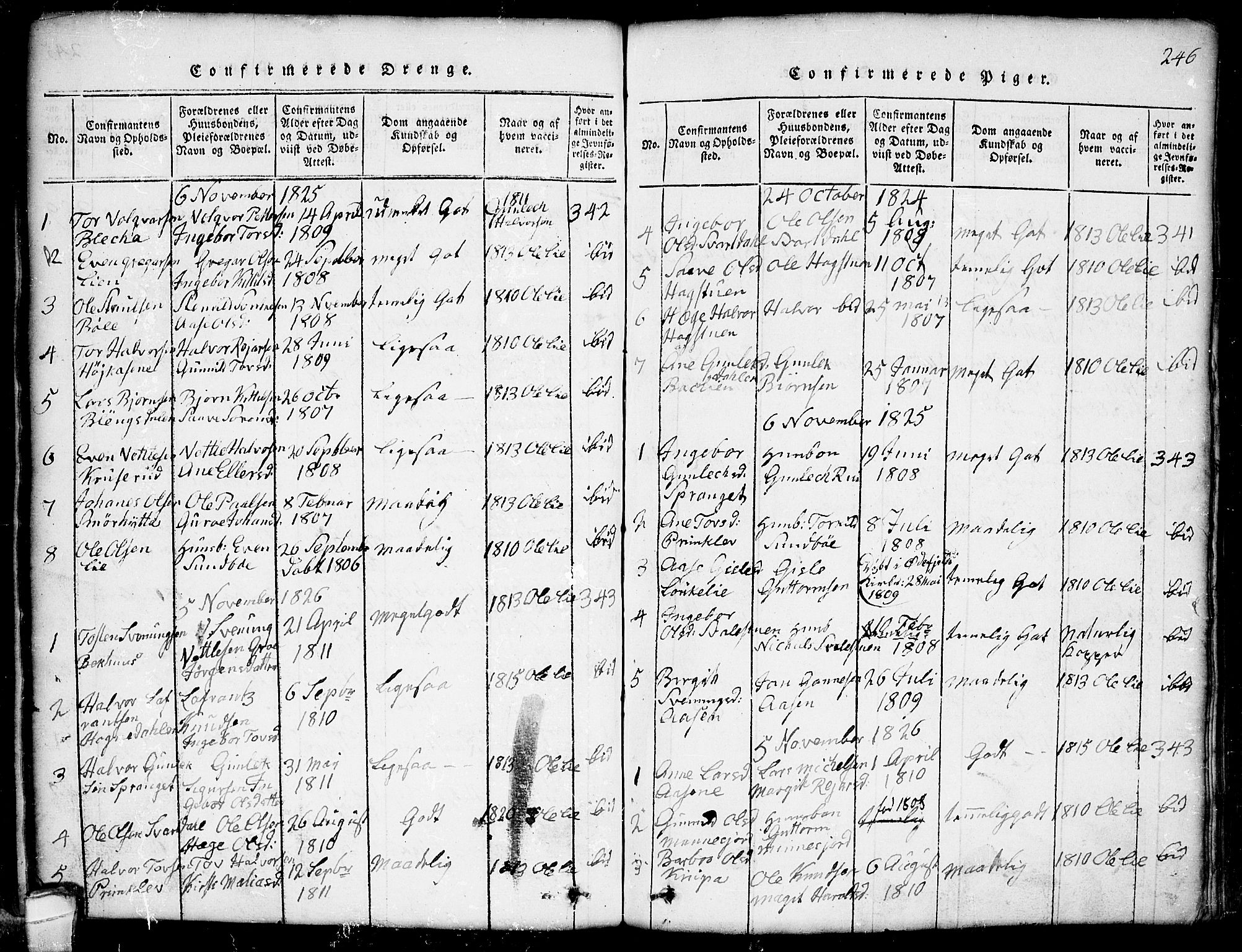 Seljord kirkebøker, SAKO/A-20/G/Gb/L0002: Parish register (copy) no. II 2, 1815-1854, p. 246