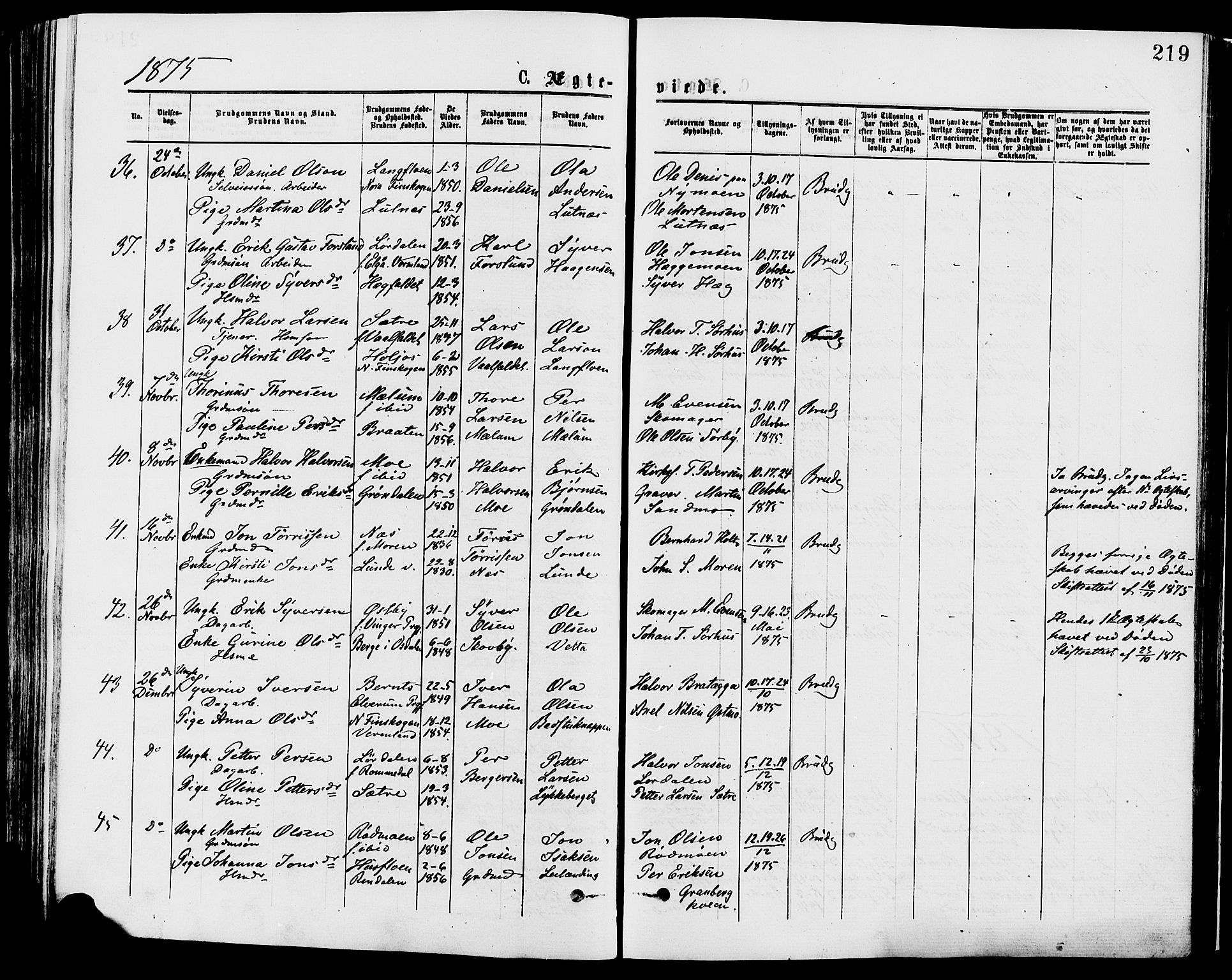 Trysil prestekontor, AV/SAH-PREST-046/H/Ha/Haa/L0007: Parish register (official) no. 7, 1874-1880, p. 219