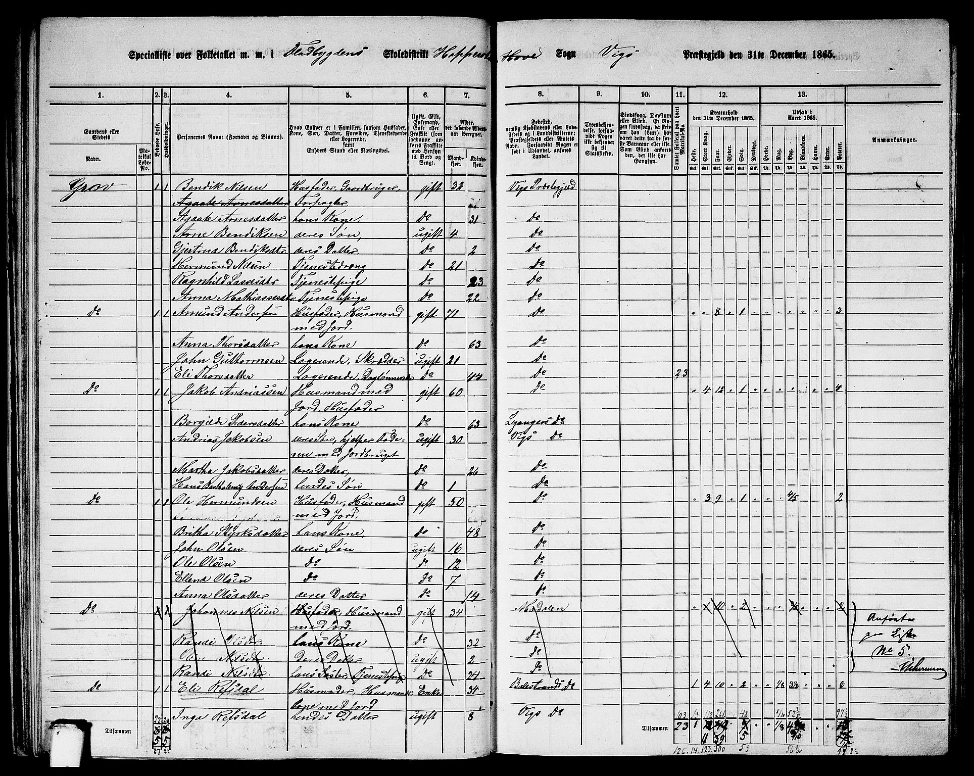 RA, 1865 census for Vik, 1865, p. 36