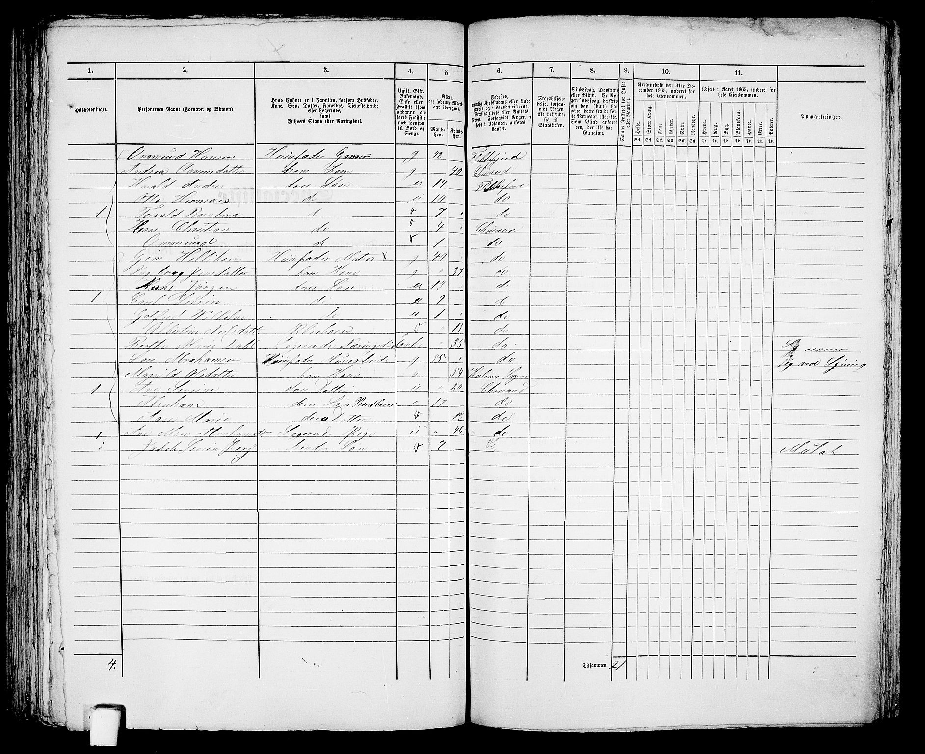 RA, 1865 census for Kristiansand, 1865, p. 845