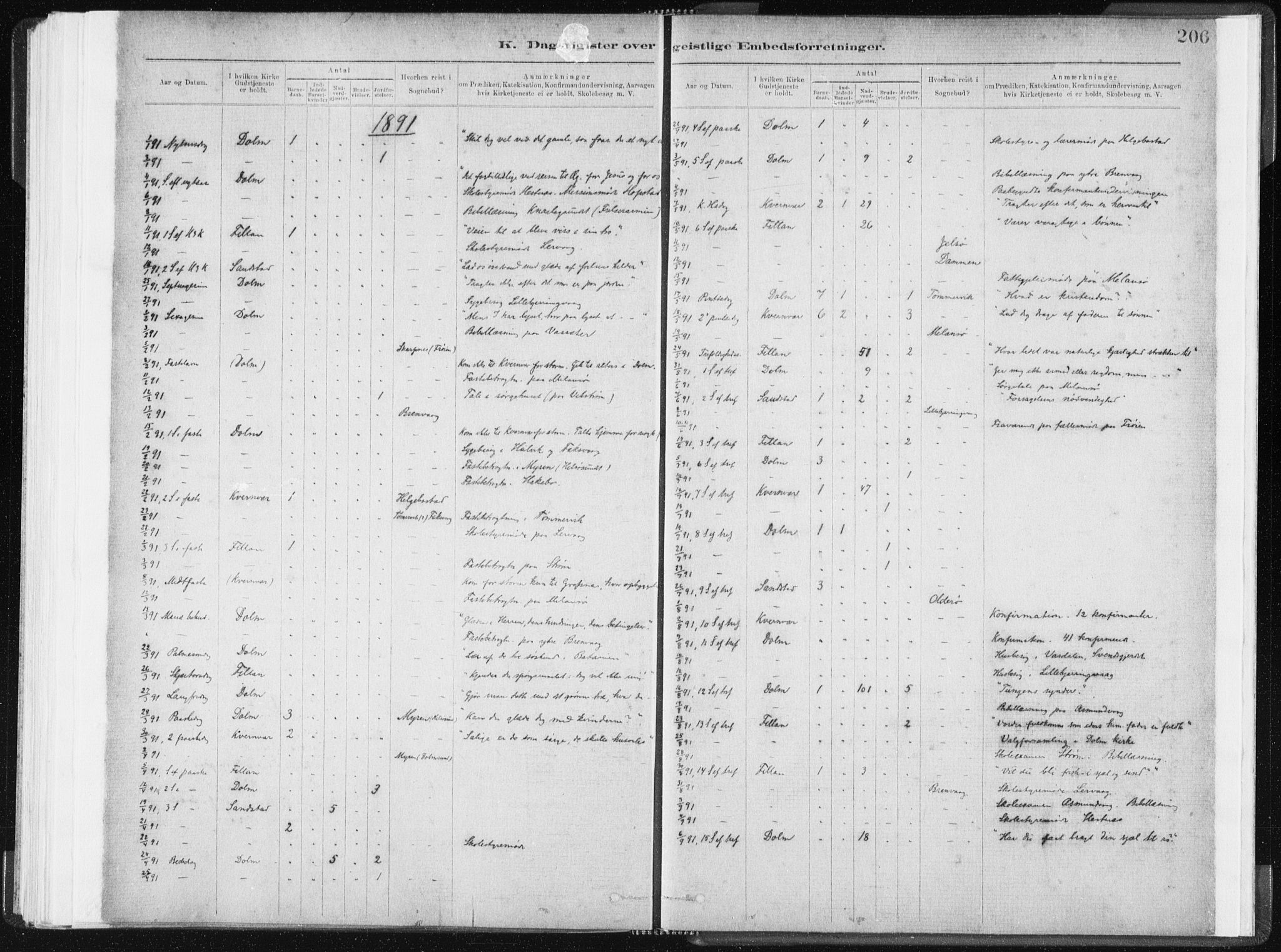 Ministerialprotokoller, klokkerbøker og fødselsregistre - Sør-Trøndelag, SAT/A-1456/634/L0533: Parish register (official) no. 634A09, 1882-1901, p. 206