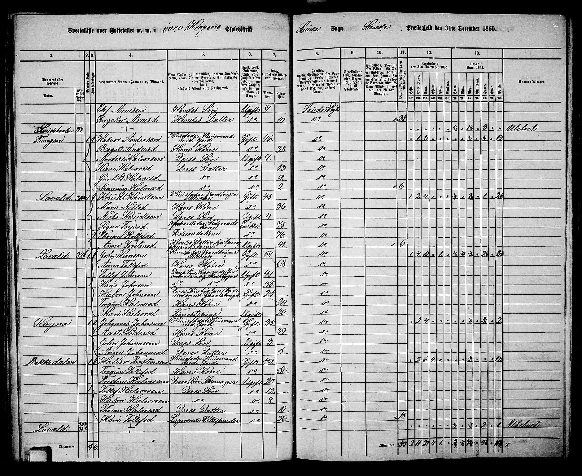 RA, 1865 census for Sauherad, 1865, p. 35